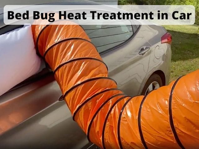 bed bug car treatment