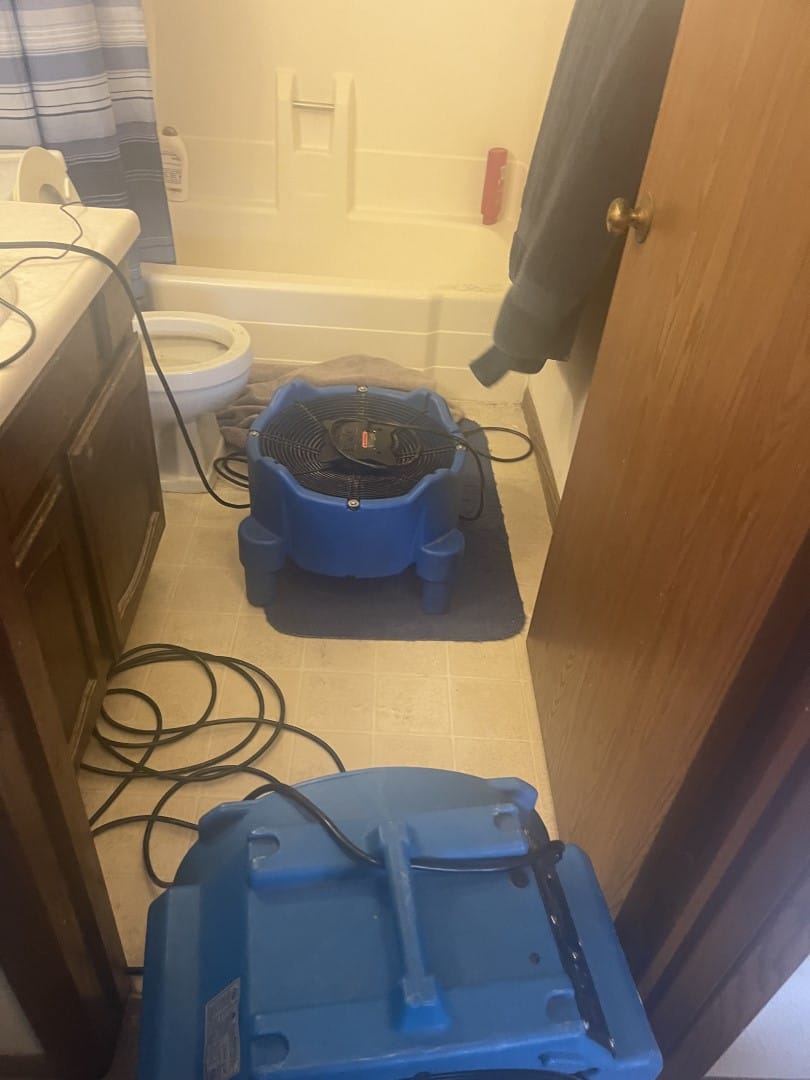 bed bug heat treatment Nashville TN