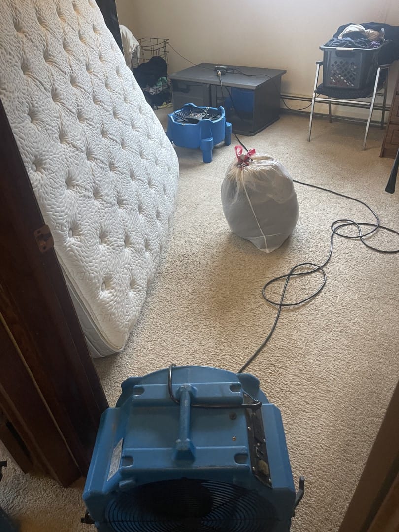 bed bug heat treatment Nashville TN