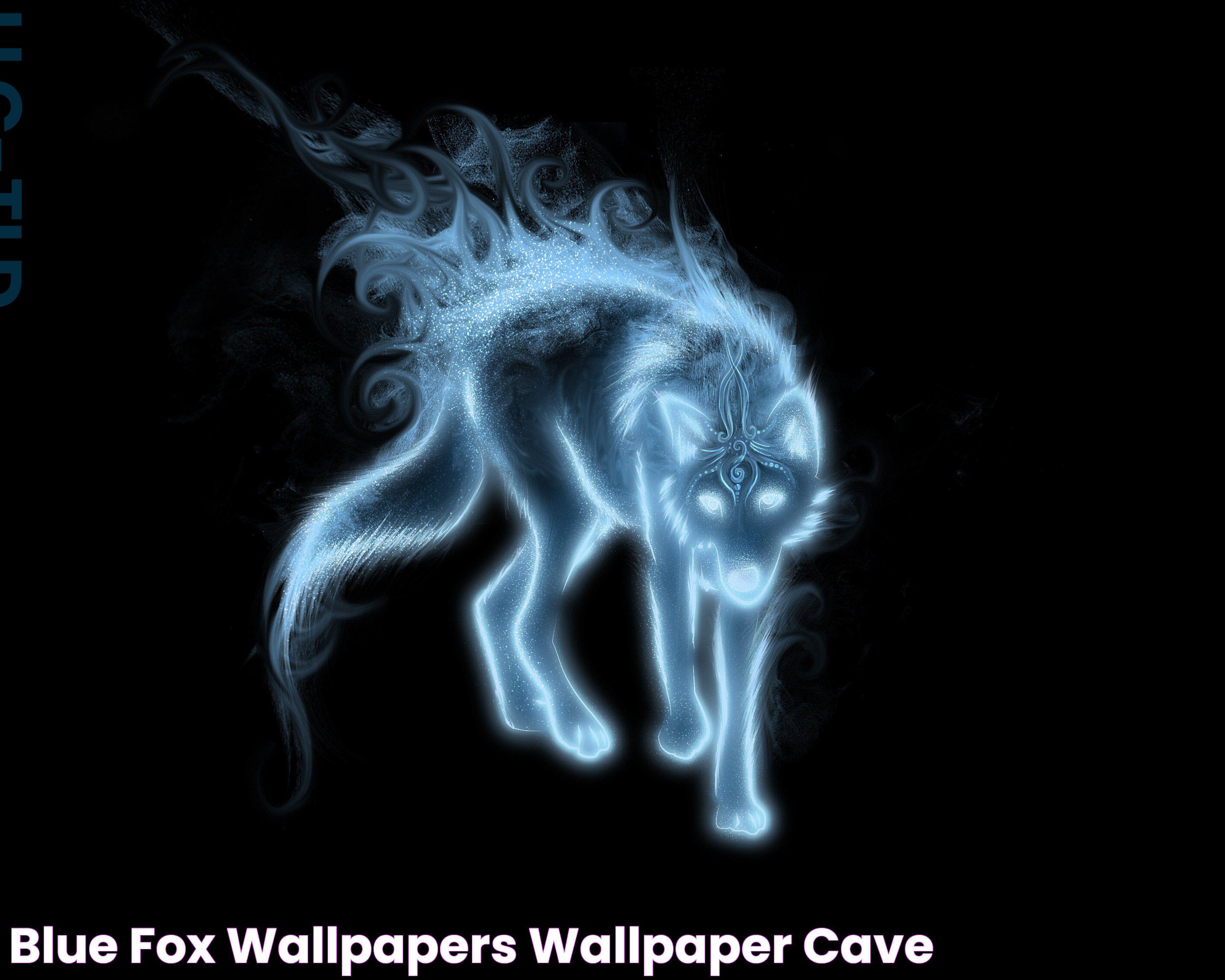 Blue Fox Wallpapers Wallpaper Cave