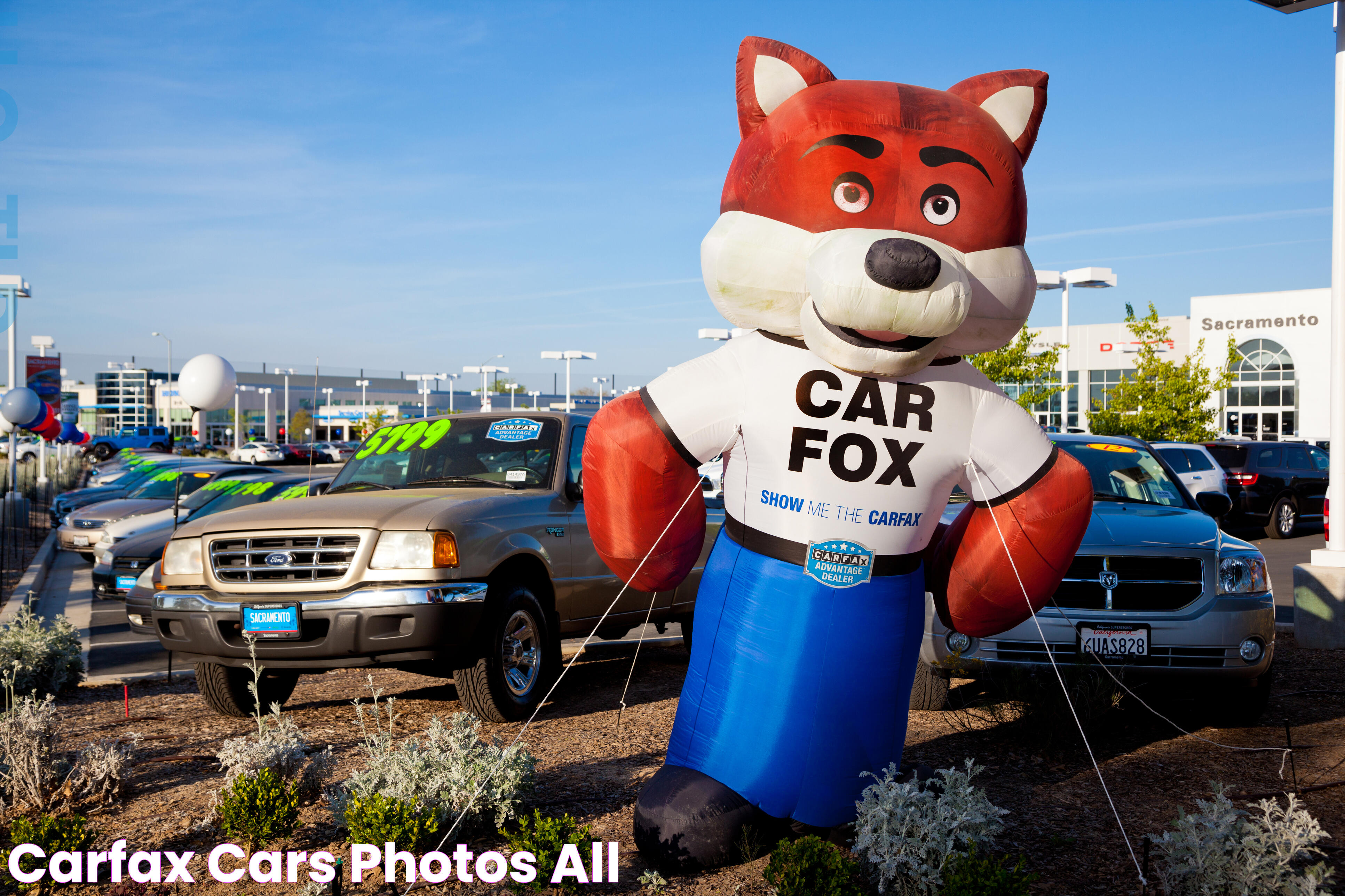 Carfax Cars Photos All