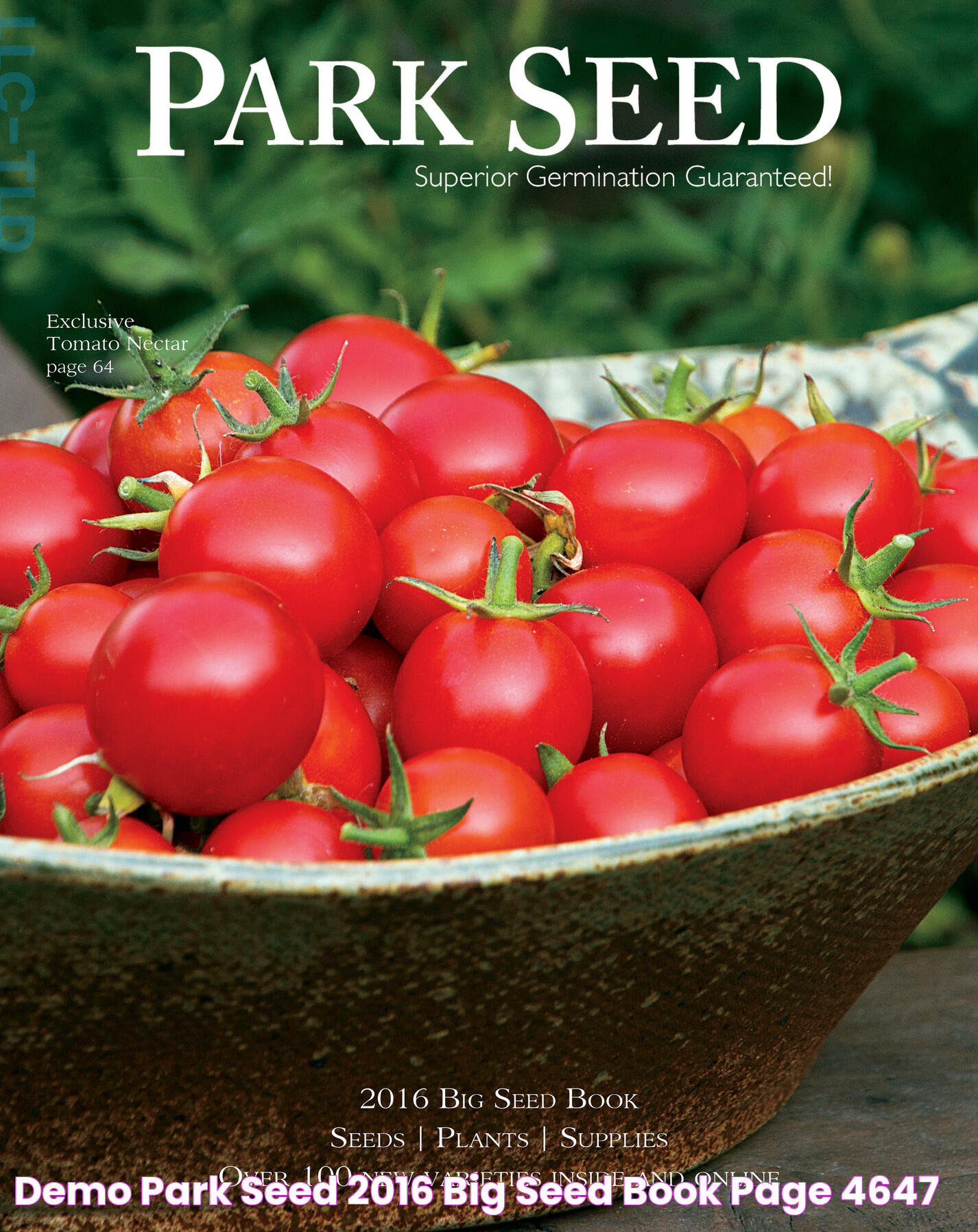 Park Seed: Your Ultimate Guide To Gardening Excellence