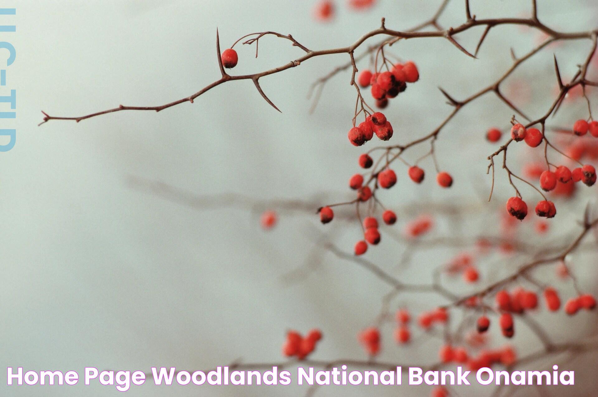 Home Page Woodlands National Bank Onamia