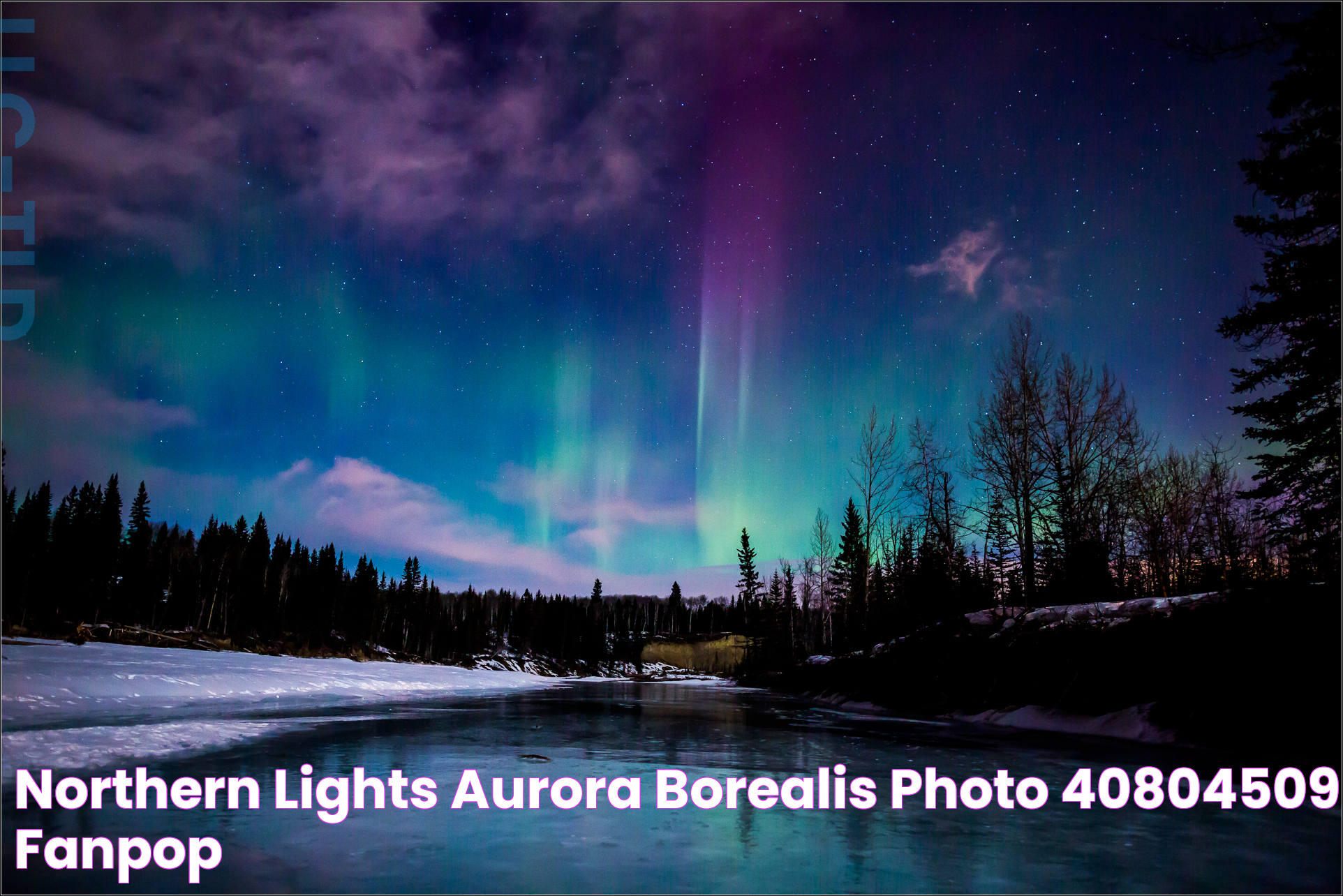 Northern Lights Aurora borealis Photo (40804509) Fanpop