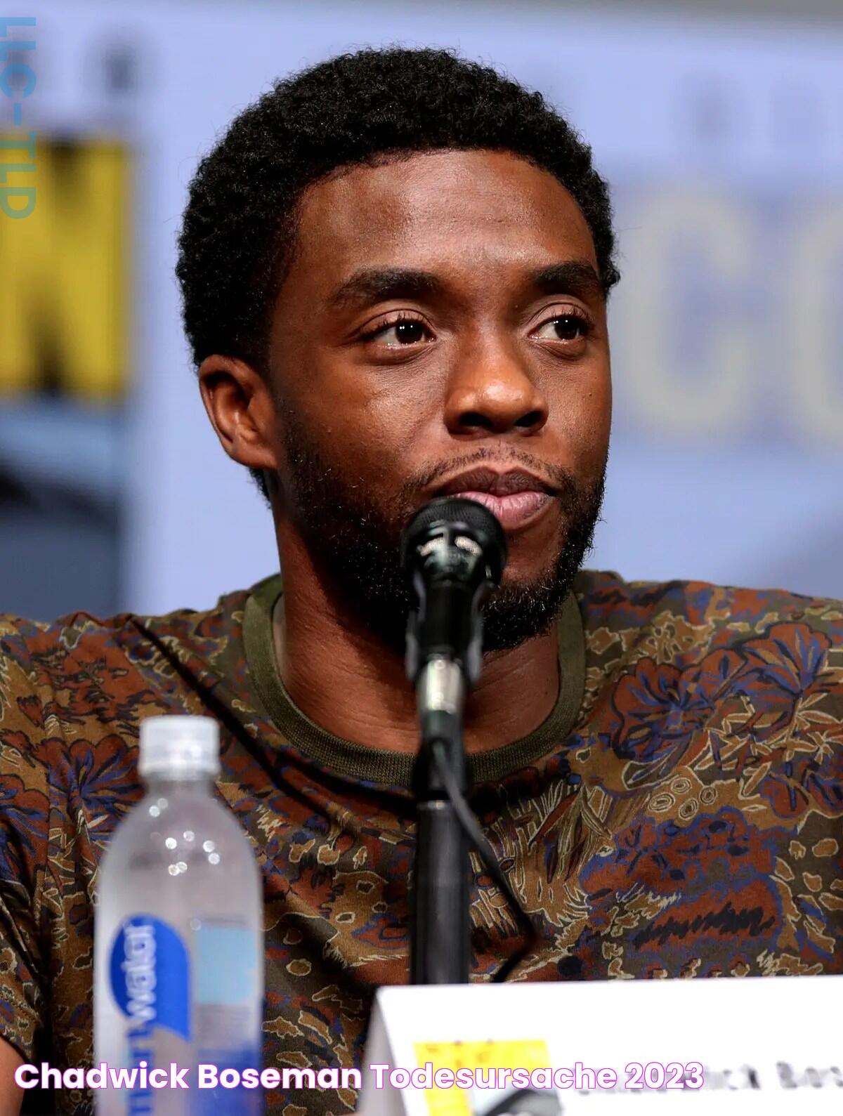 Chadwick Boseman Todesursache: A Hero's Battle And Legacy