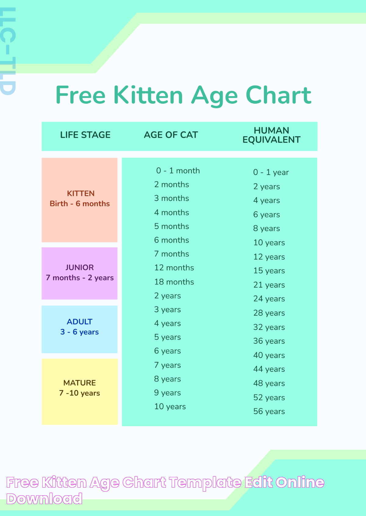 Free Kitten Age Chart Template Edit Online & Download