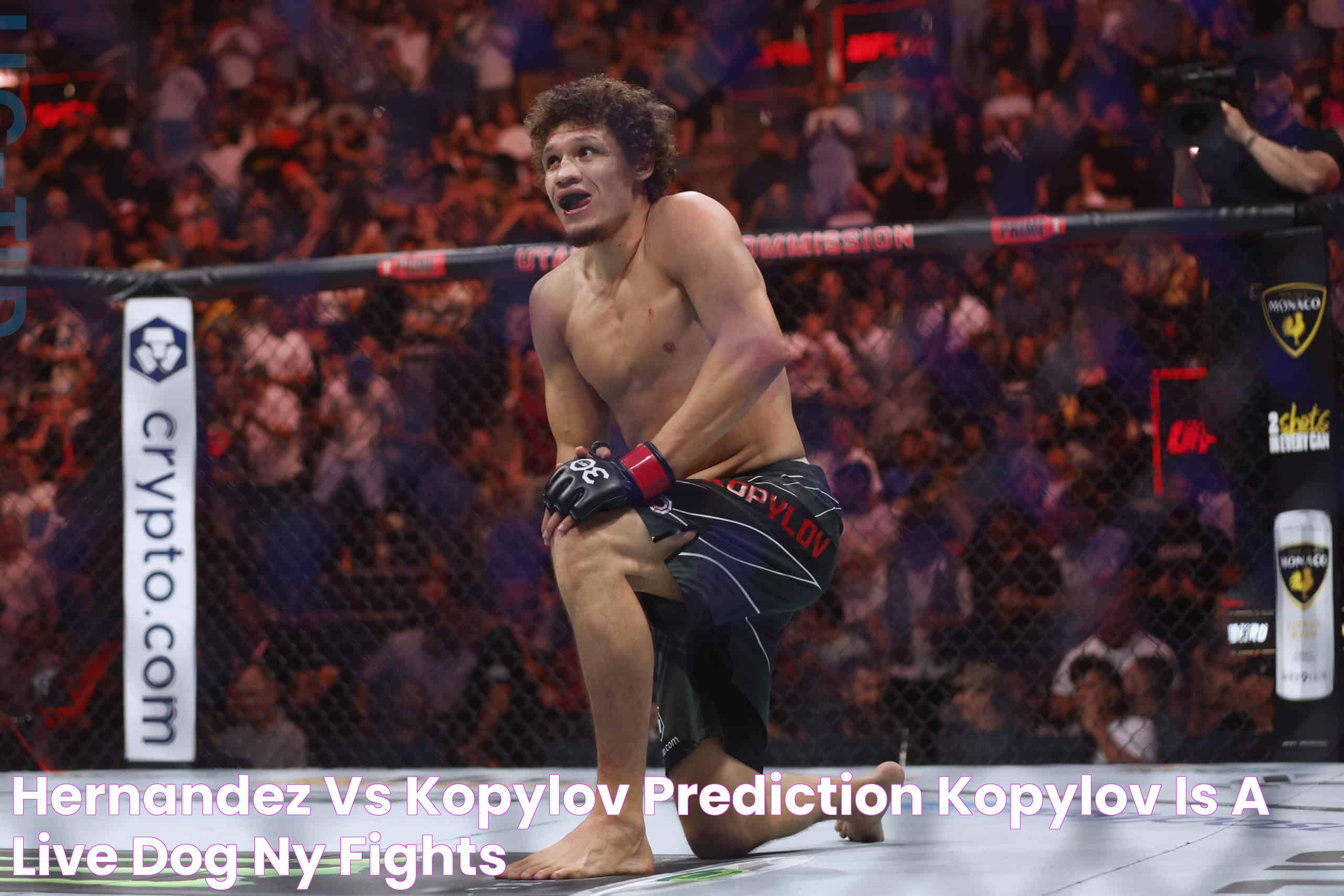 Hernandez vs Kopylov Prediction Kopylov is a Live Dog NY FIGHTS