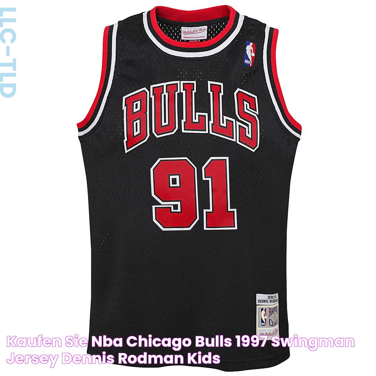 Kaufen Sie NBA CHICAGO BULLS 1997 SWINGMAN JERSEY DENNIS RODMAN KIDS