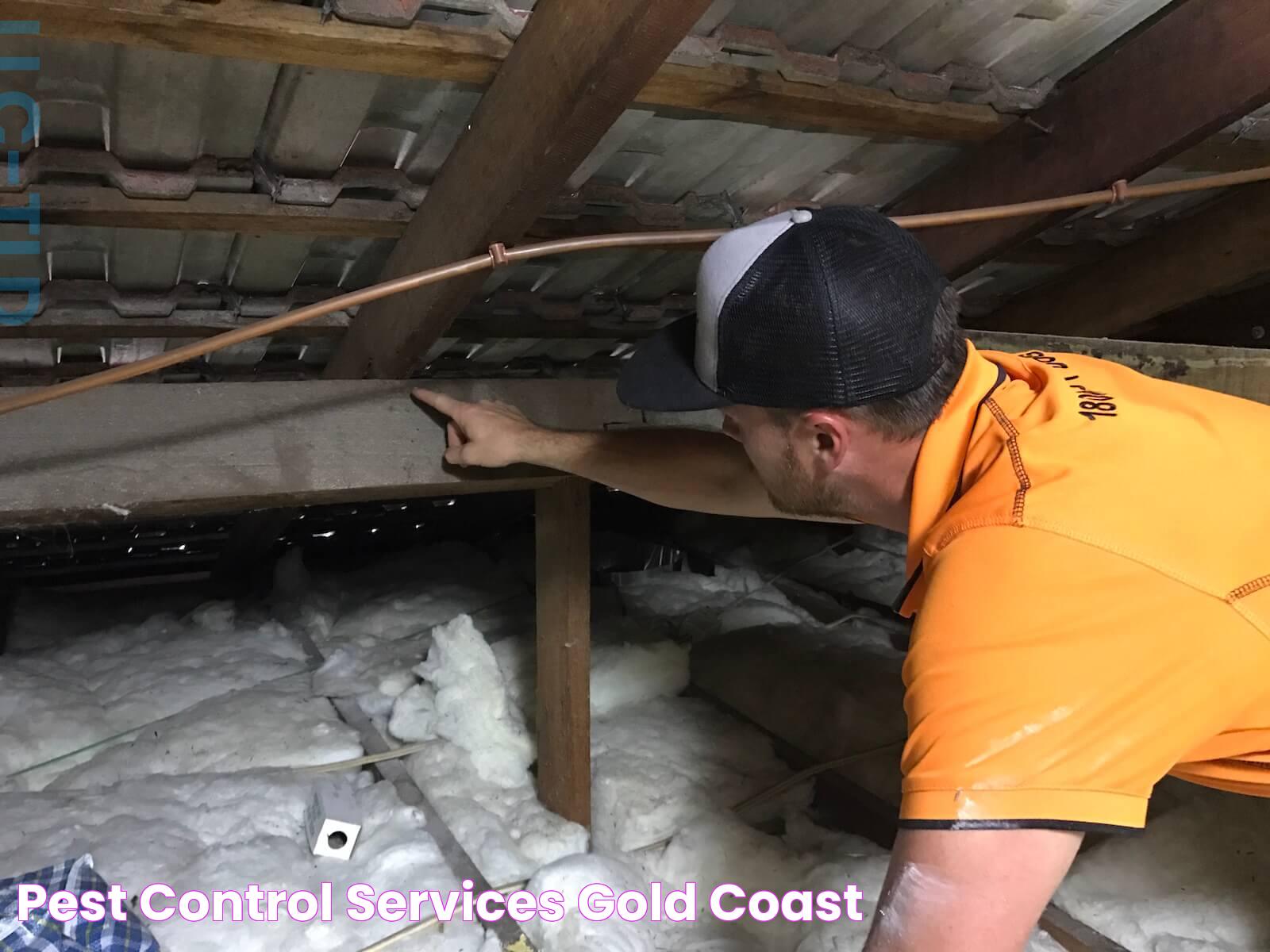 Pest Control Services Gold Coast