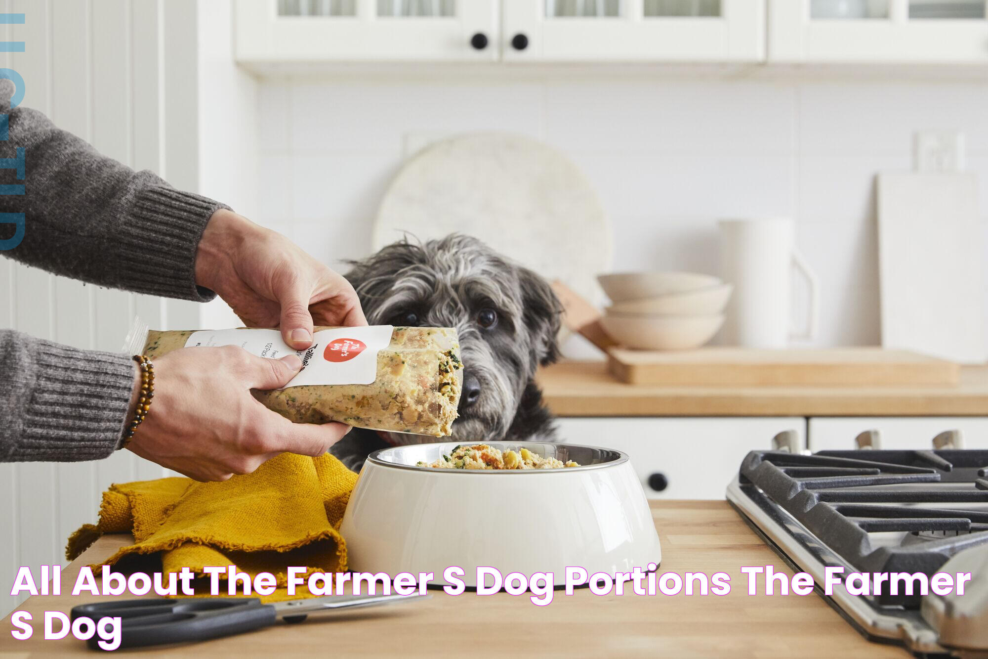 Guide To The Farmer's Dog: A Healthier Choice For Your Pet