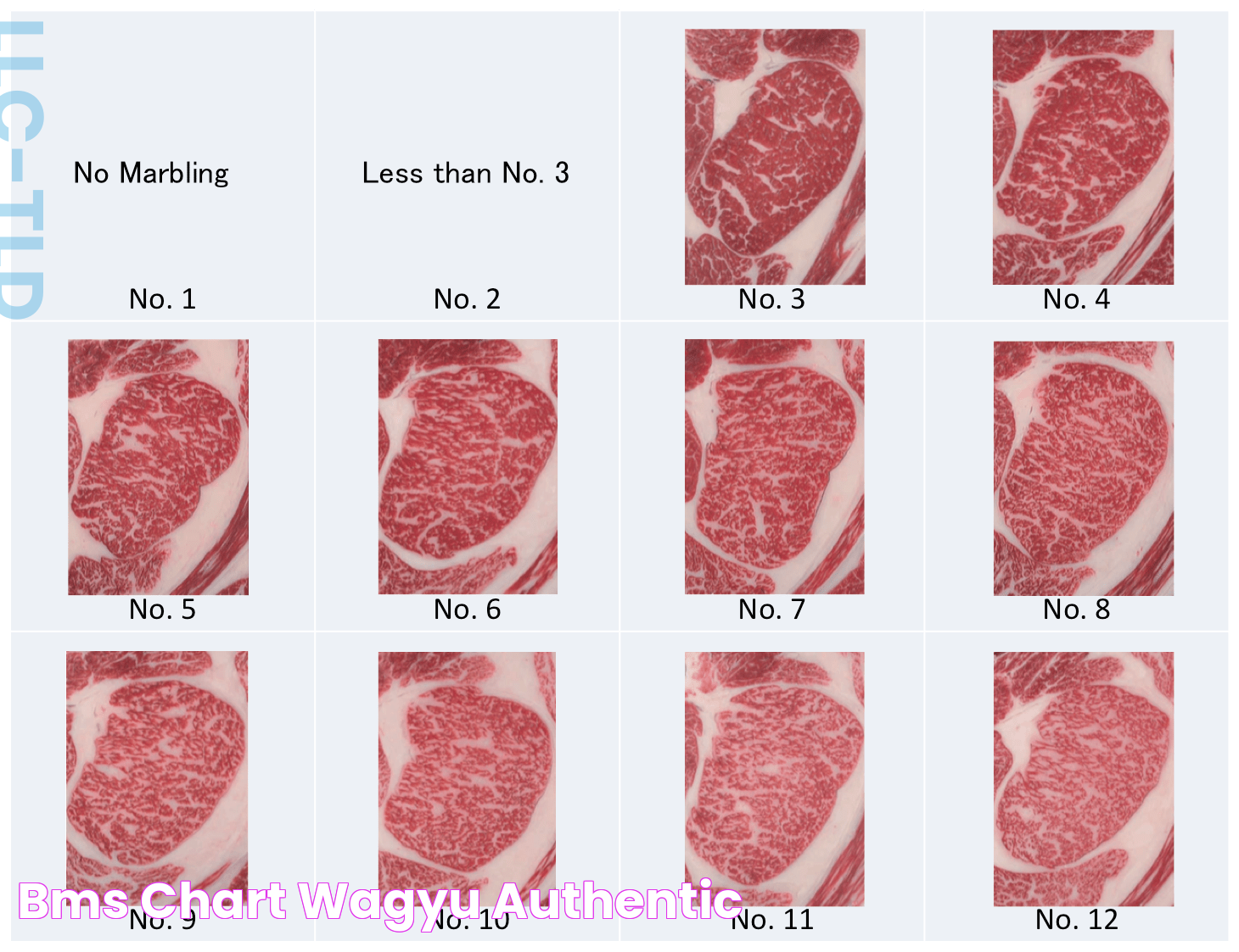 BMS Chart Wagyu Authentic