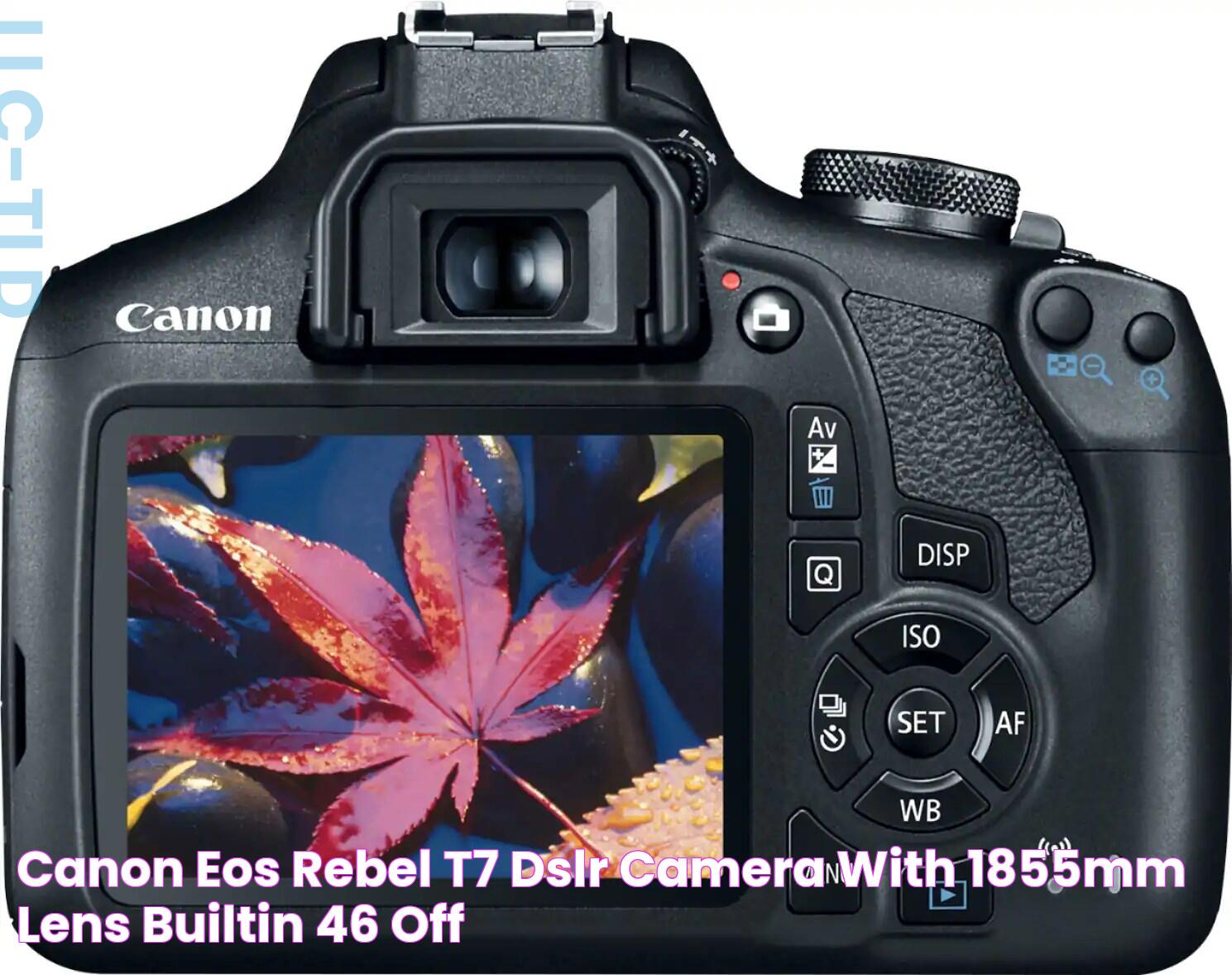 Canon Rebel T7 Aux Cord: Everything You Need To Know