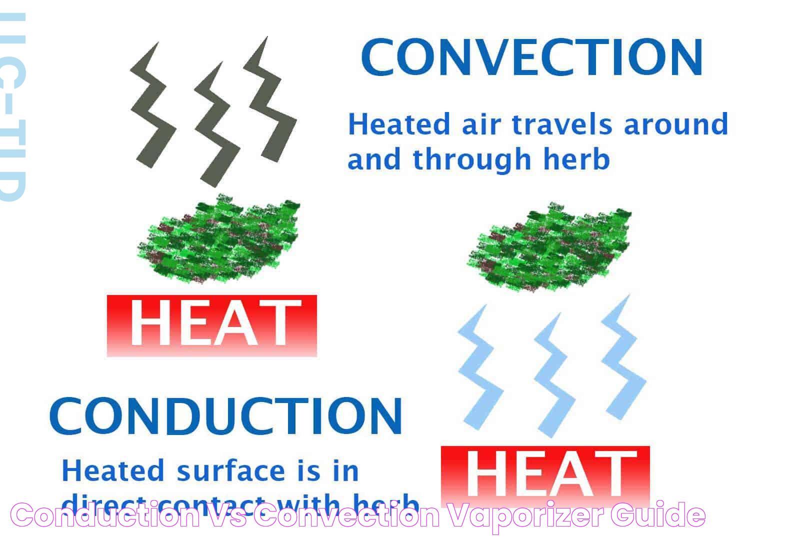 Conduction vs Convection Vaporizer Guide