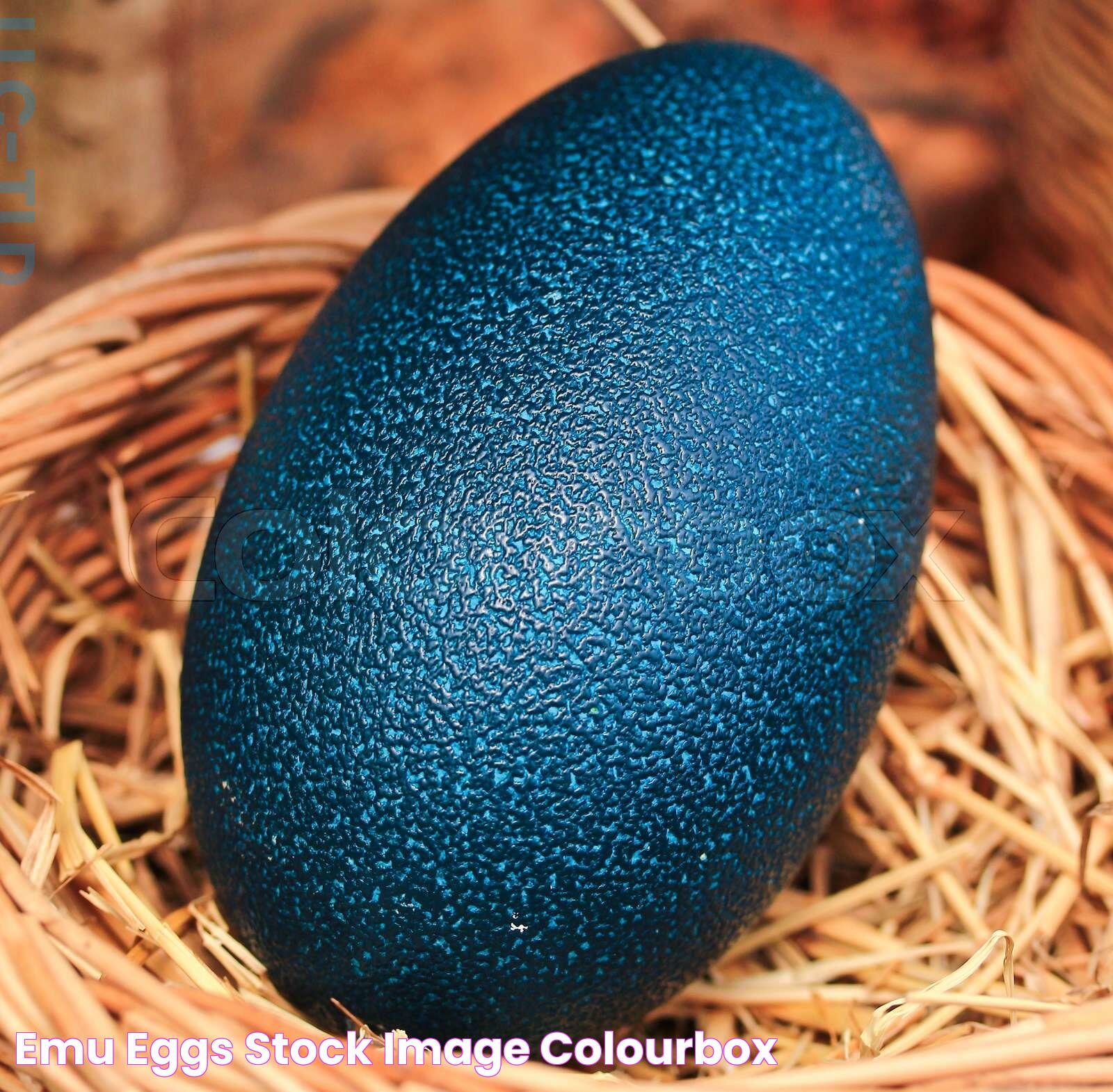 Emu Egg: A Marvel Of Nature And Nutrition