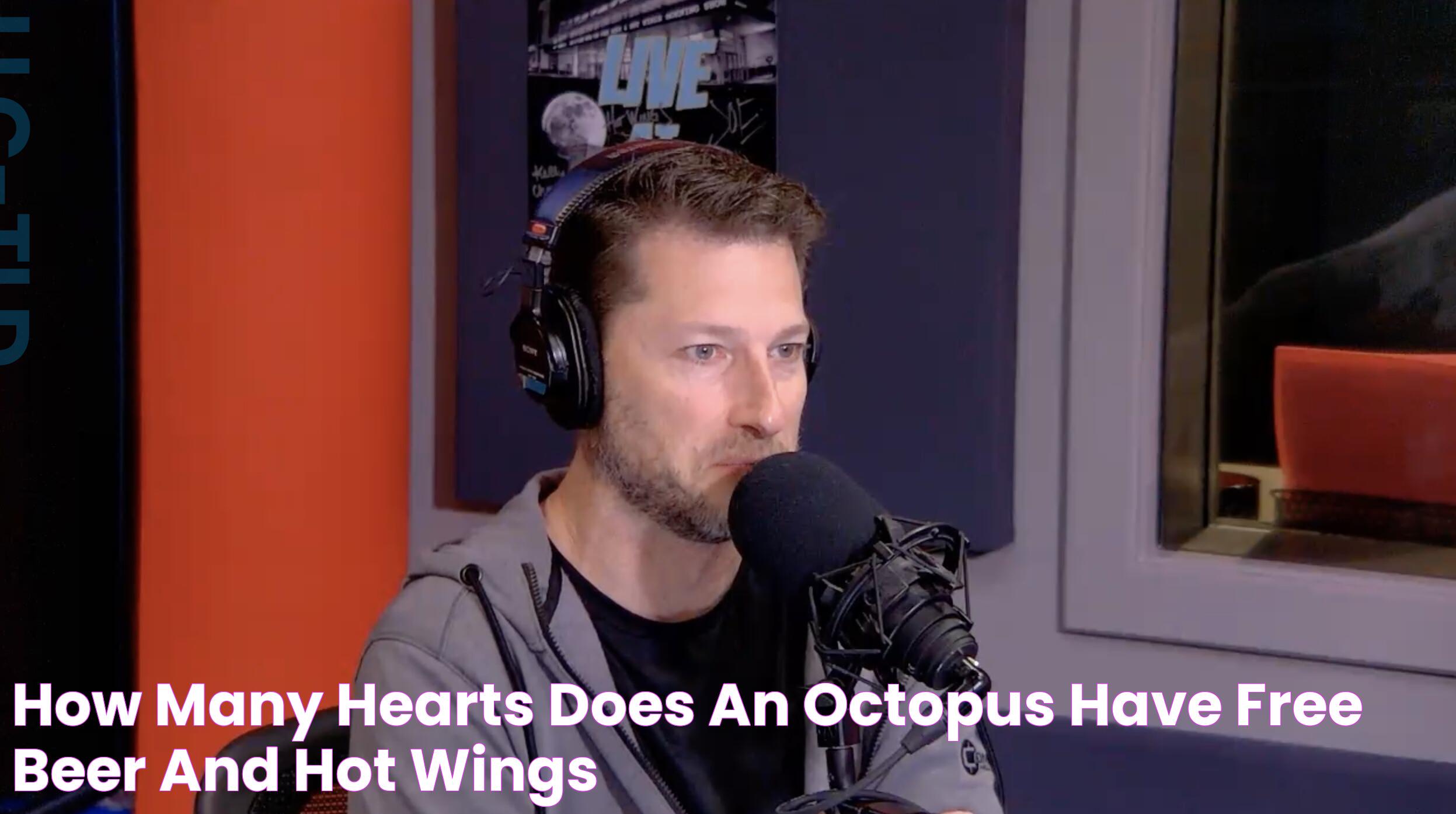 How Many Hearts Does An Octopus Have? Nature's Marvelous Anatomy