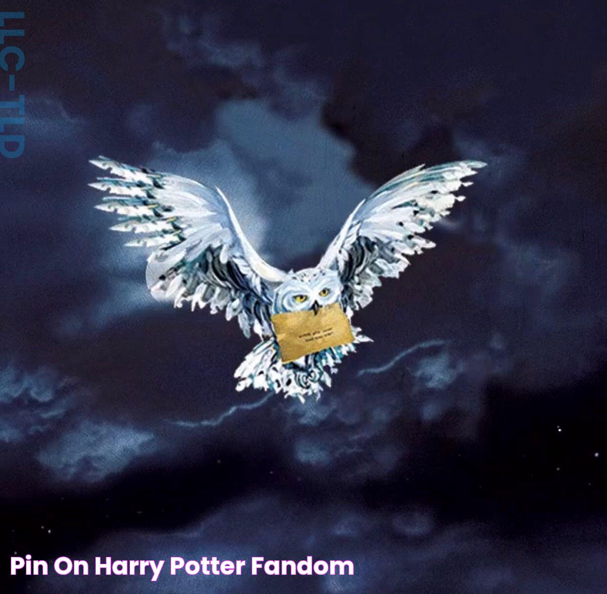 Pin on Harry Potter fandom