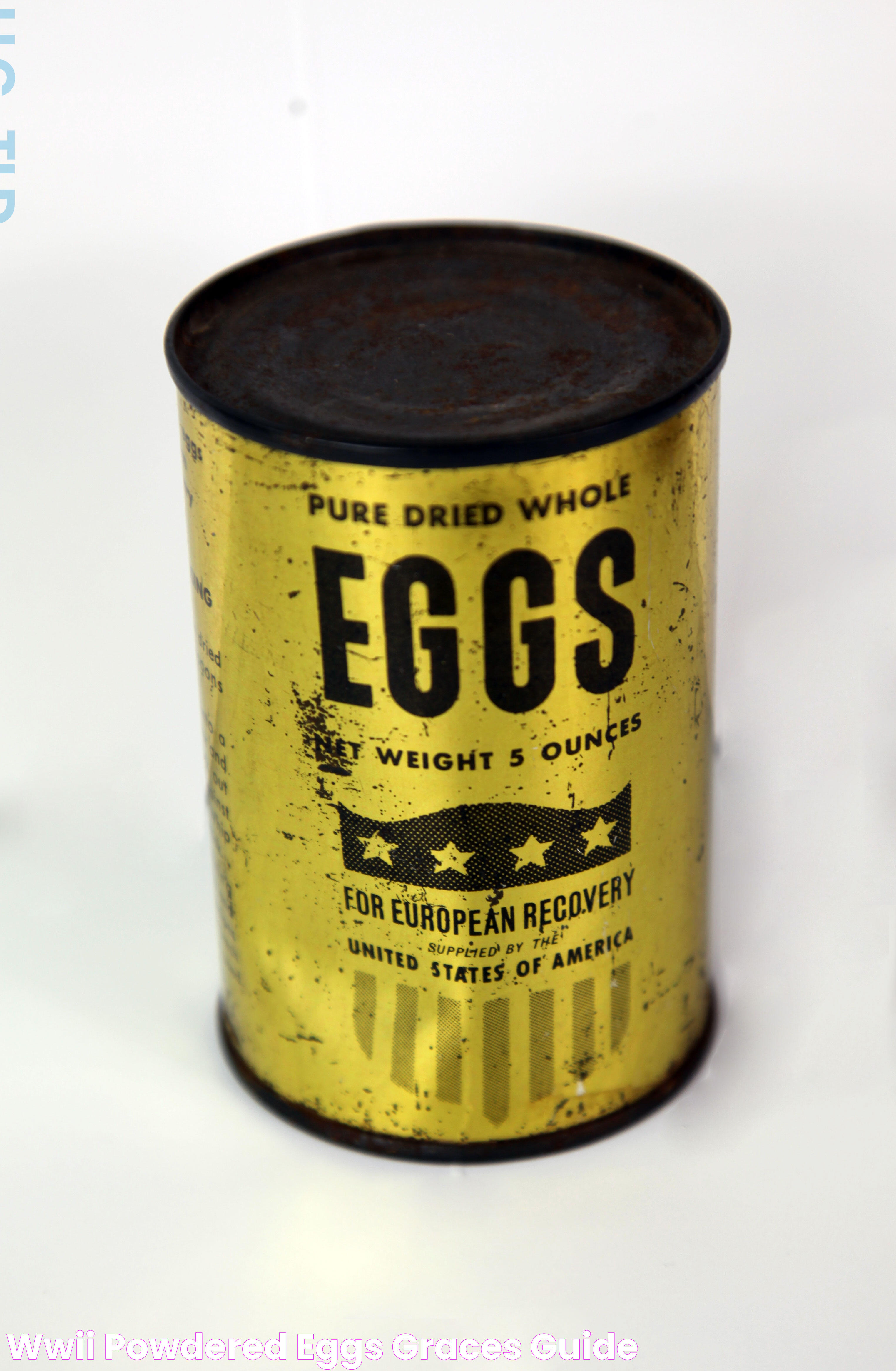 Powdered Eggs: The Versatile Ingredient For Modern Kitchens