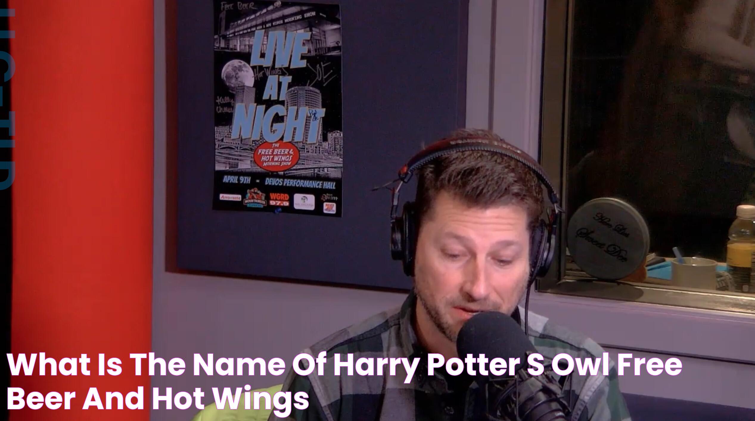 Unveiling The Magic: Harry Potter Owl Name And Its Significance