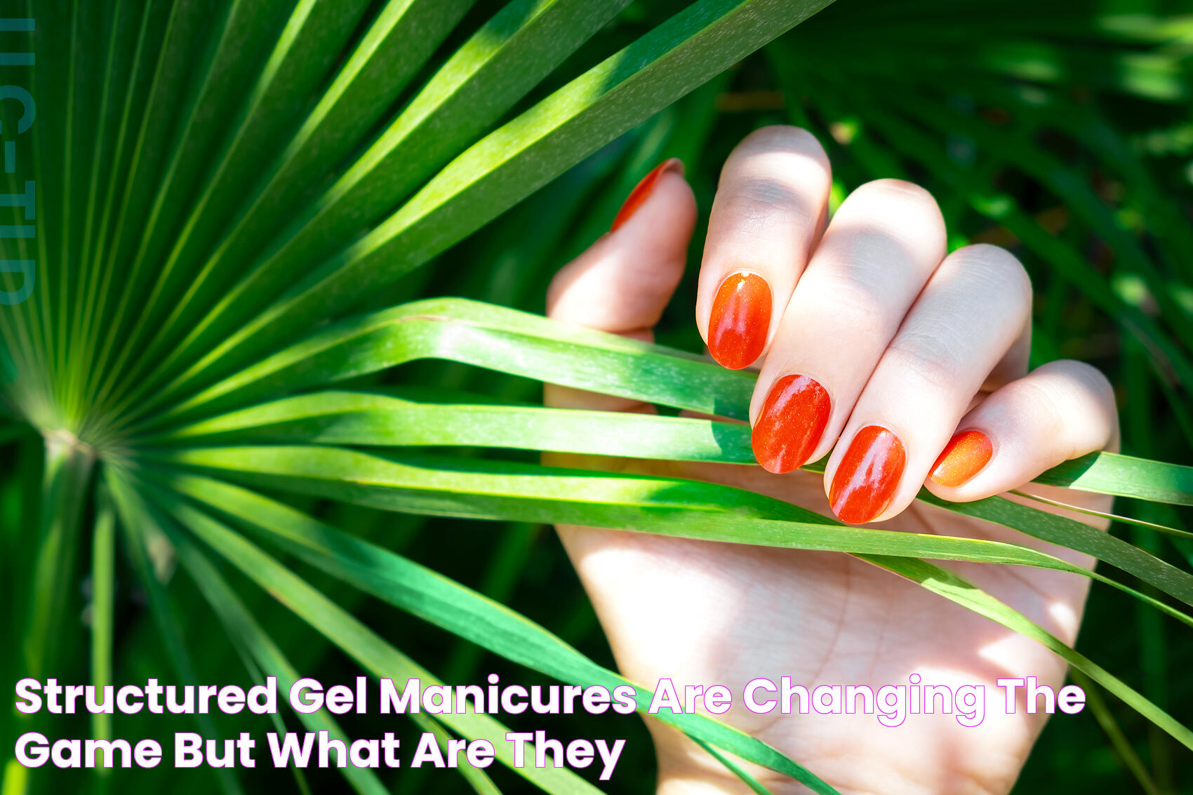 Ultimate Guide To Types Of Gel Manicures: Trends And Techniques