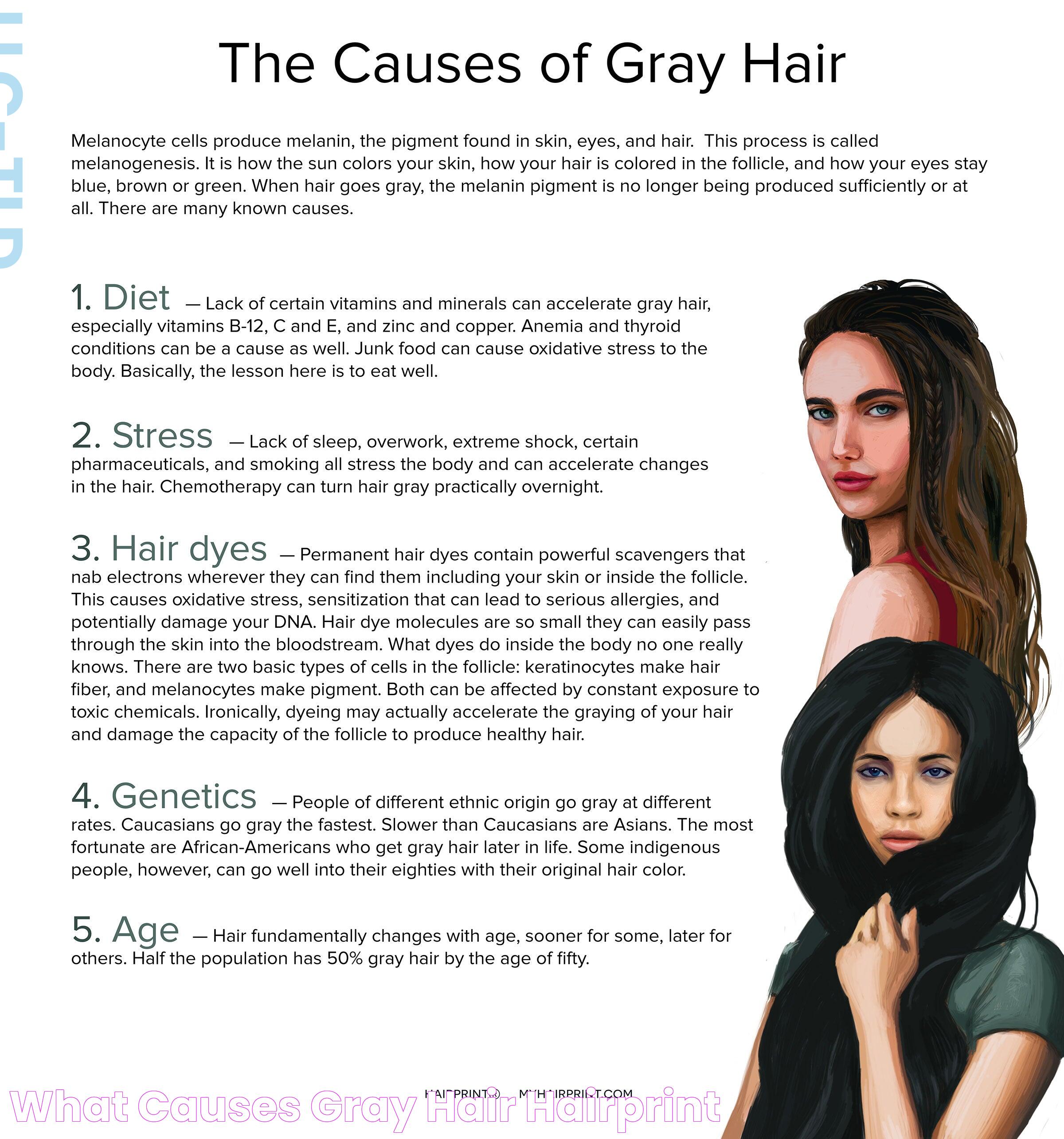 Secrets Behind Gray Hair: Causes And Solutions