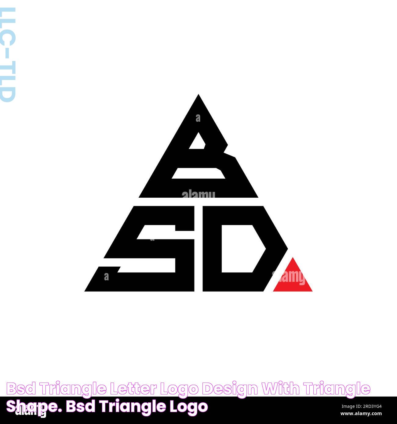 BSD triangle letter logo design with triangle shape. BSD triangle logo