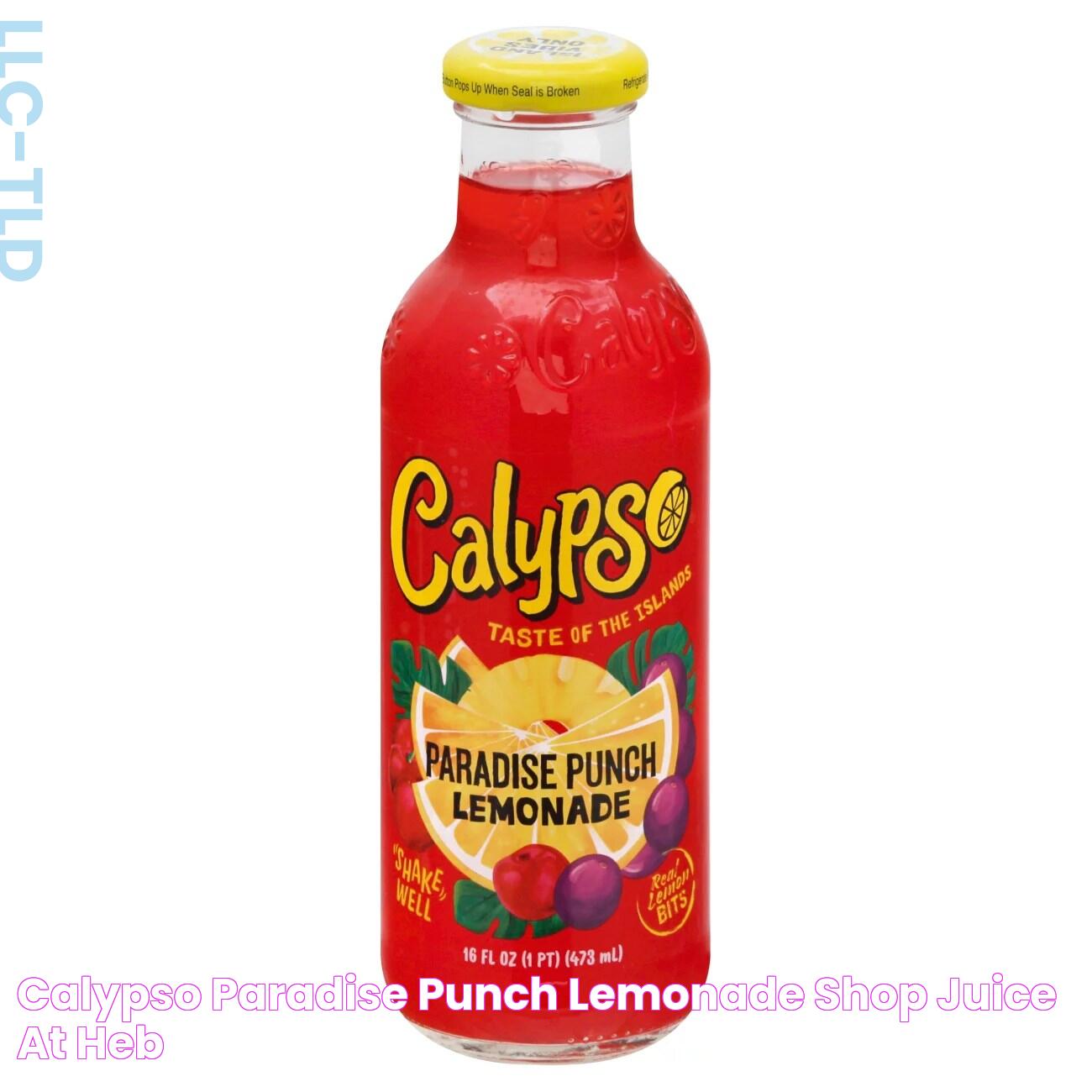 Calypso Paradise Punch Lemonade Shop Juice at HEB