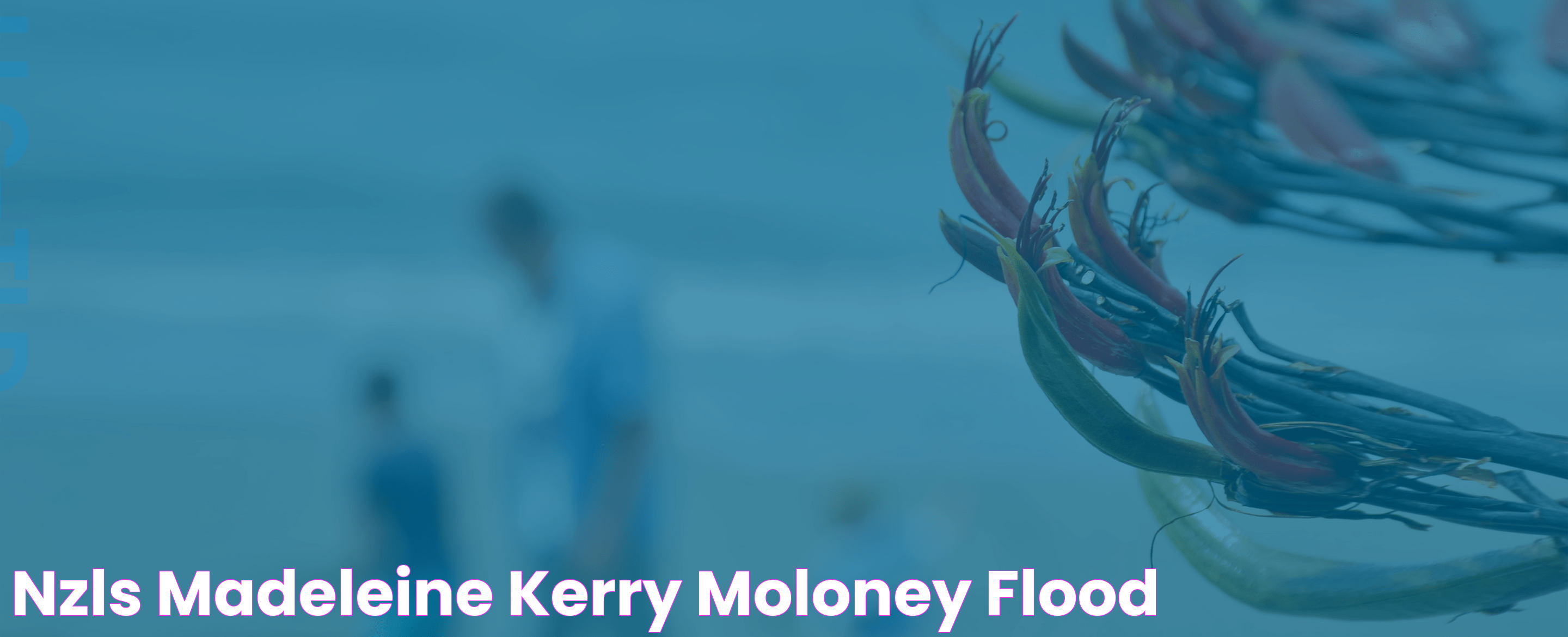 NZLS Madeleine Kerry Moloney Flood