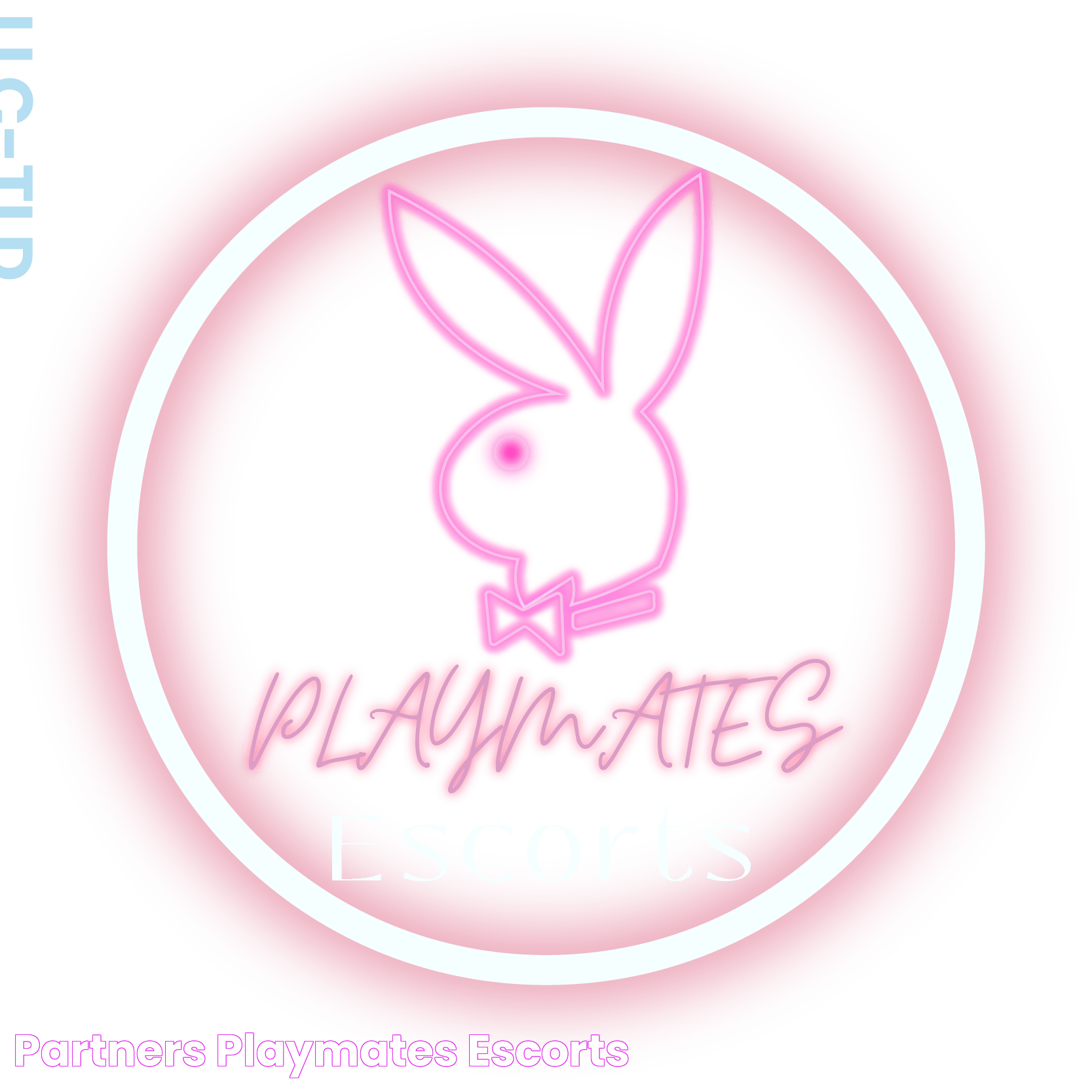 Partners Playmates Escorts