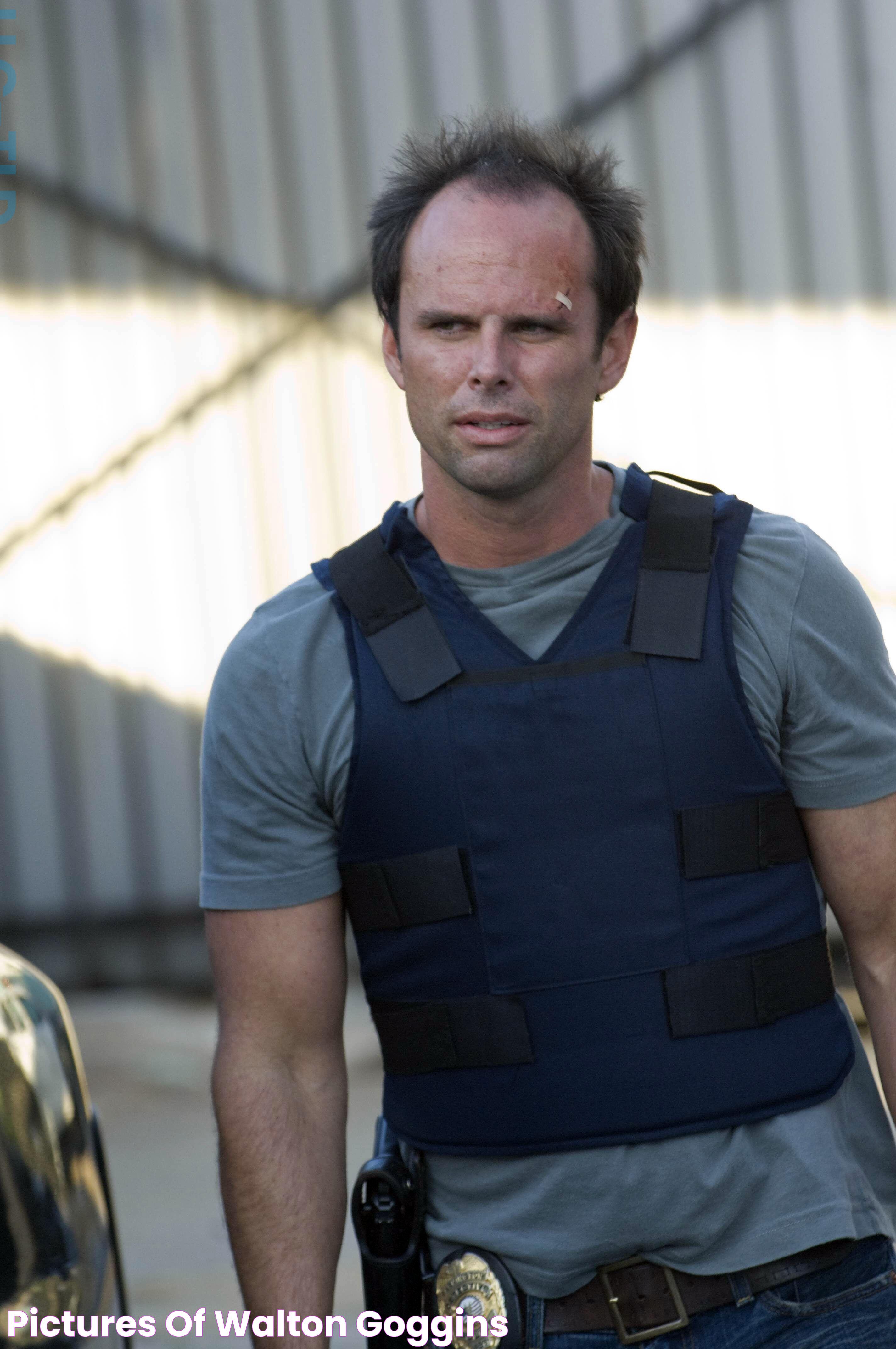 Pictures of Walton Goggins