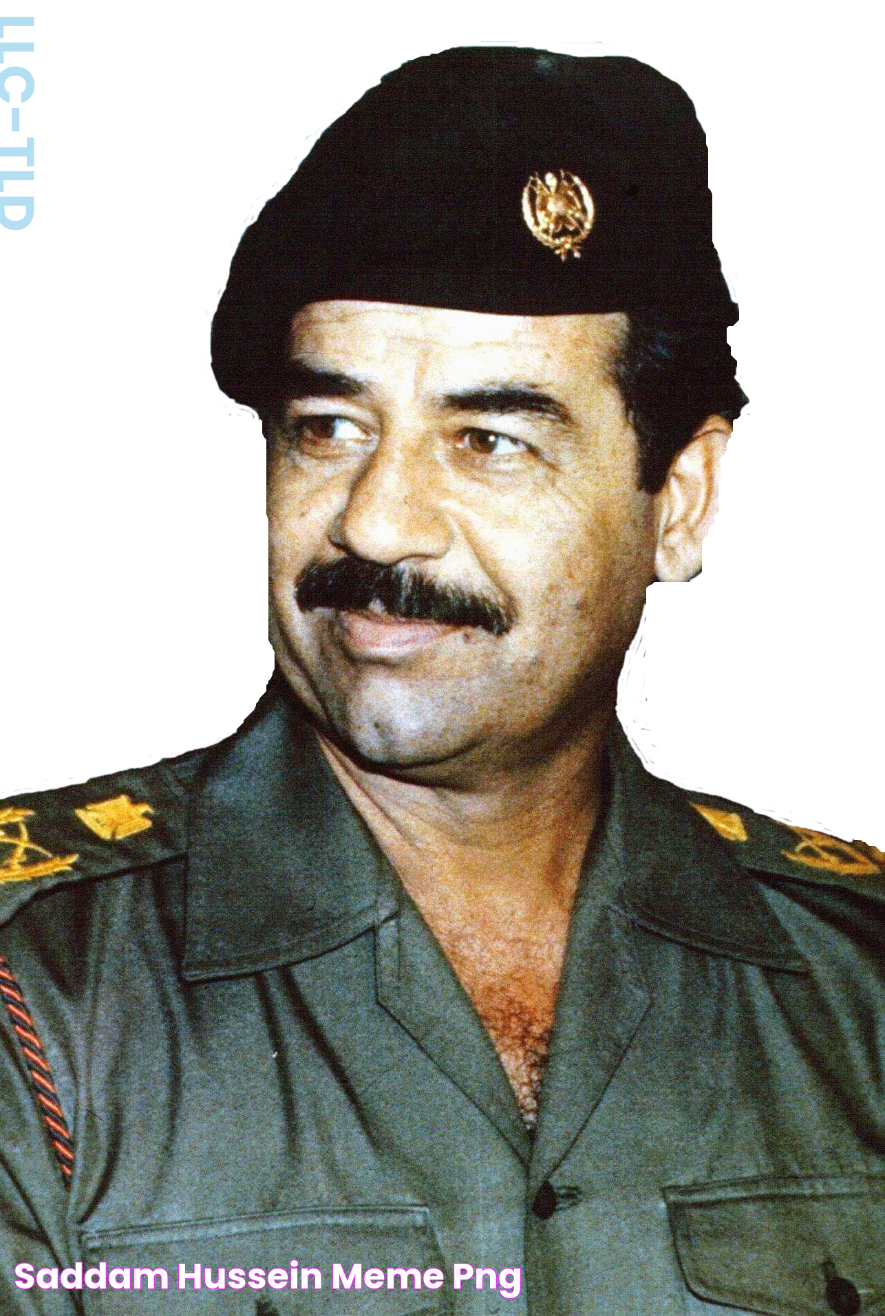 Saddam Hussein Meme Png