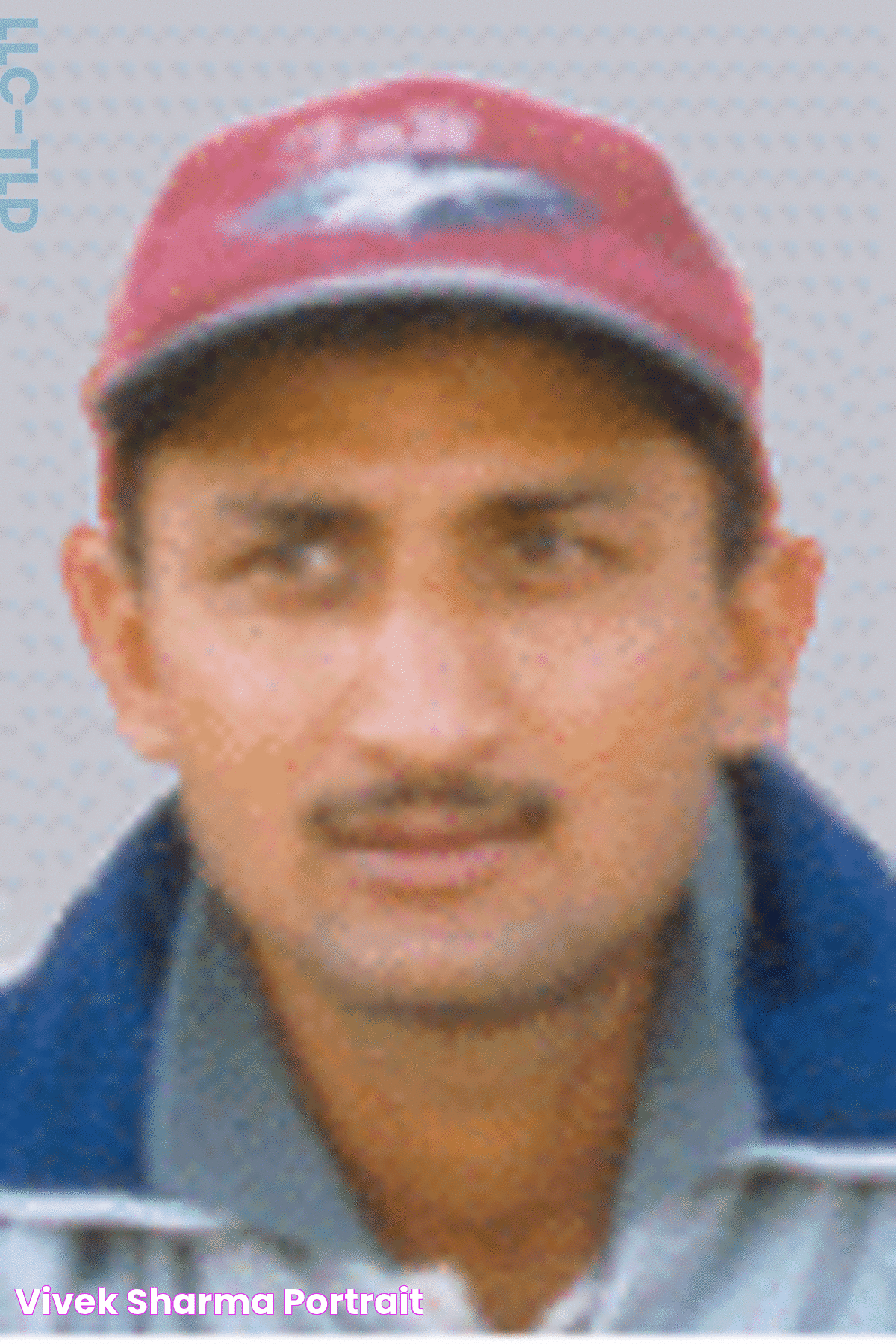 Vivek Sharma, Portrait