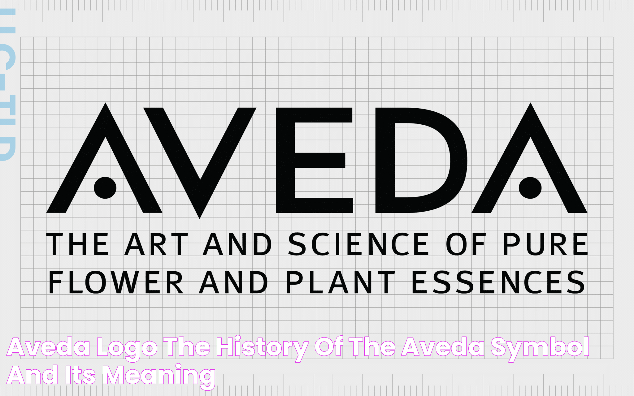 Aveda Logo The History Of The Aveda Symbol And Its Meaning