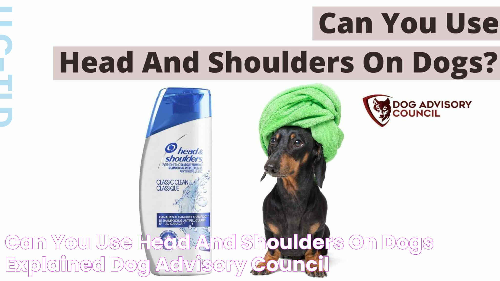 Can You Use Head And Shoulders On Dogs? (Explained) Dog Advisory Council