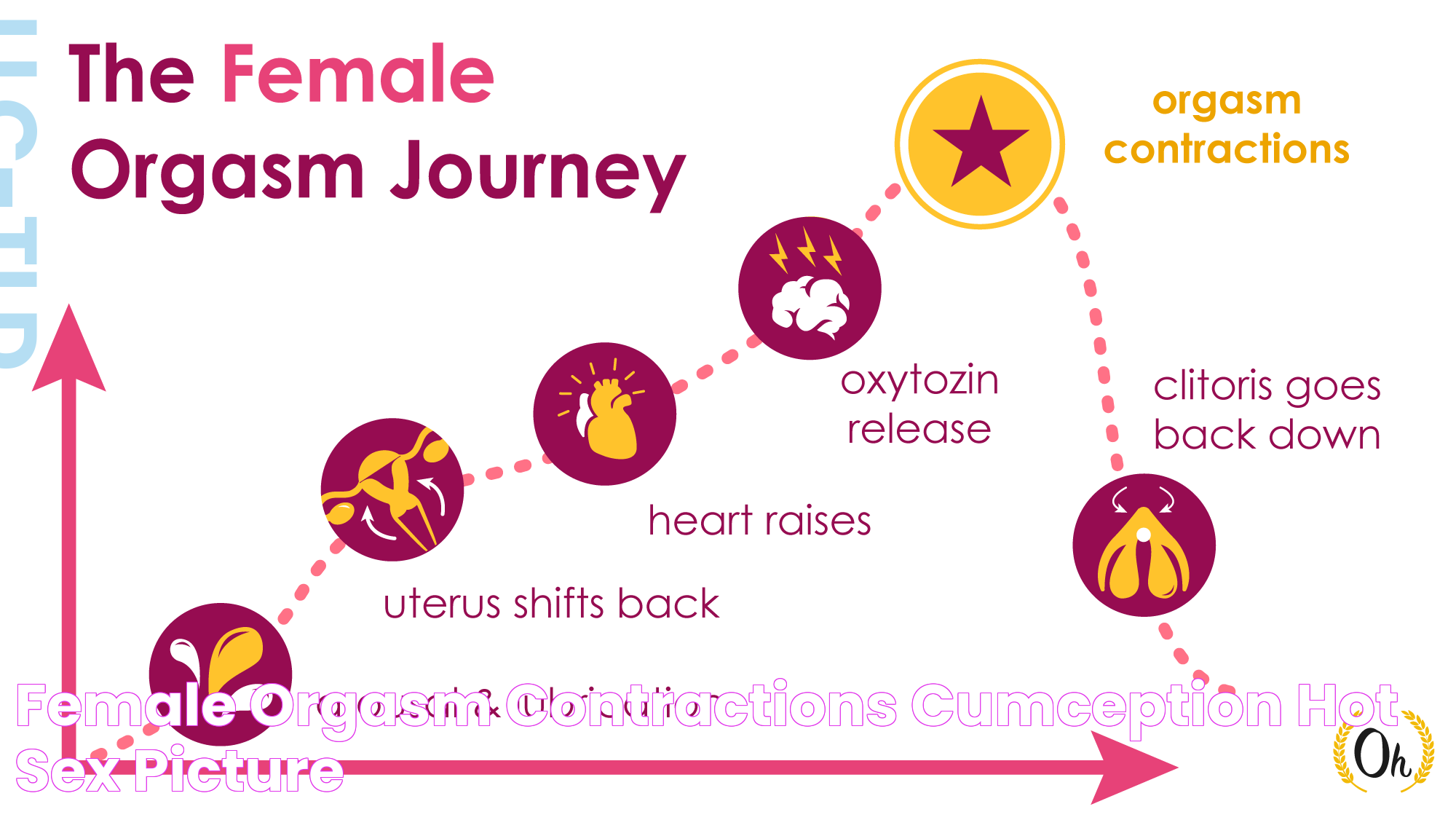 Insights Into The Female Orgasm: Mechanisms And Mysteries