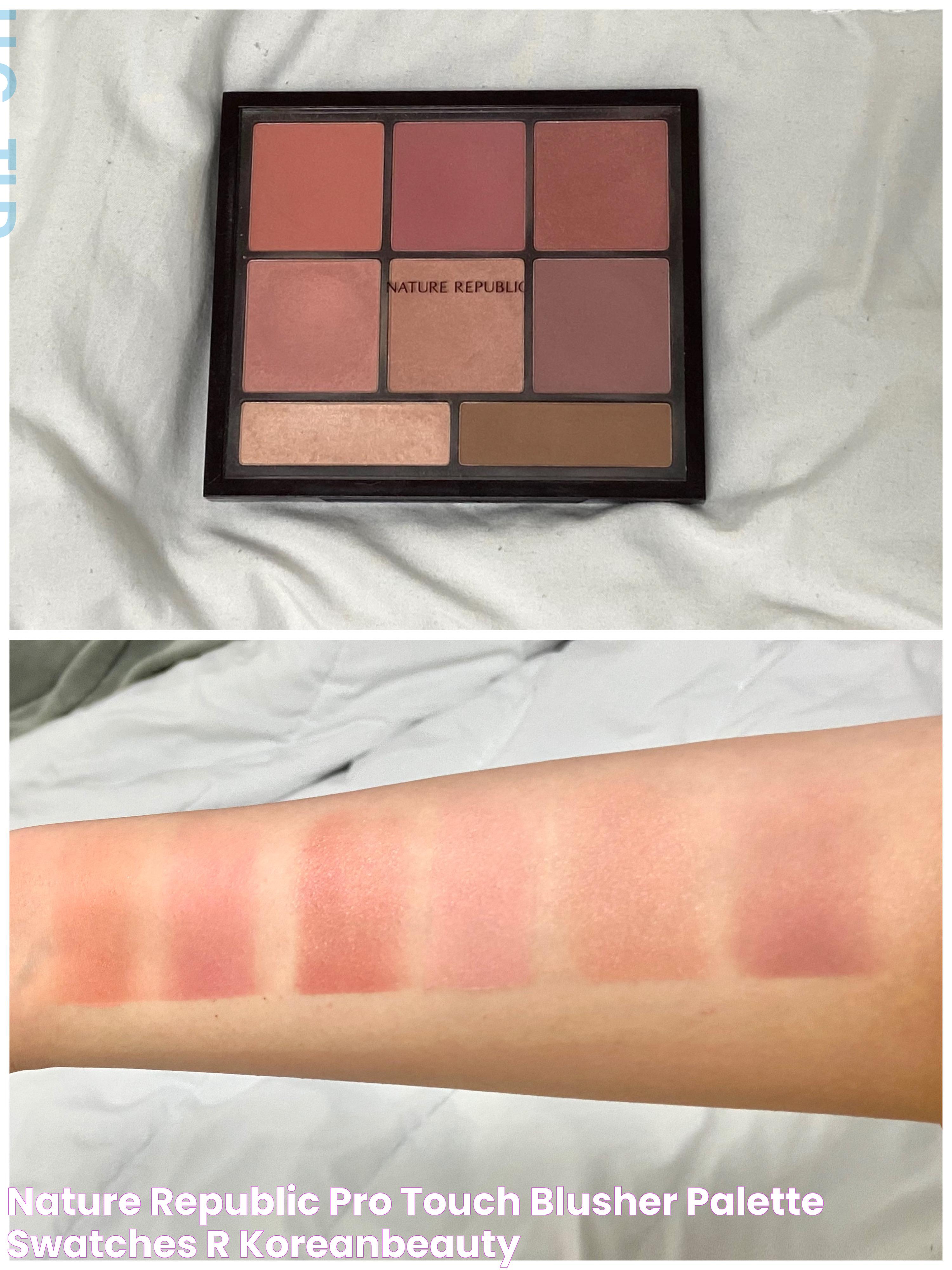 nature republic pro touch blusher palette swatches r/KoreanBeauty