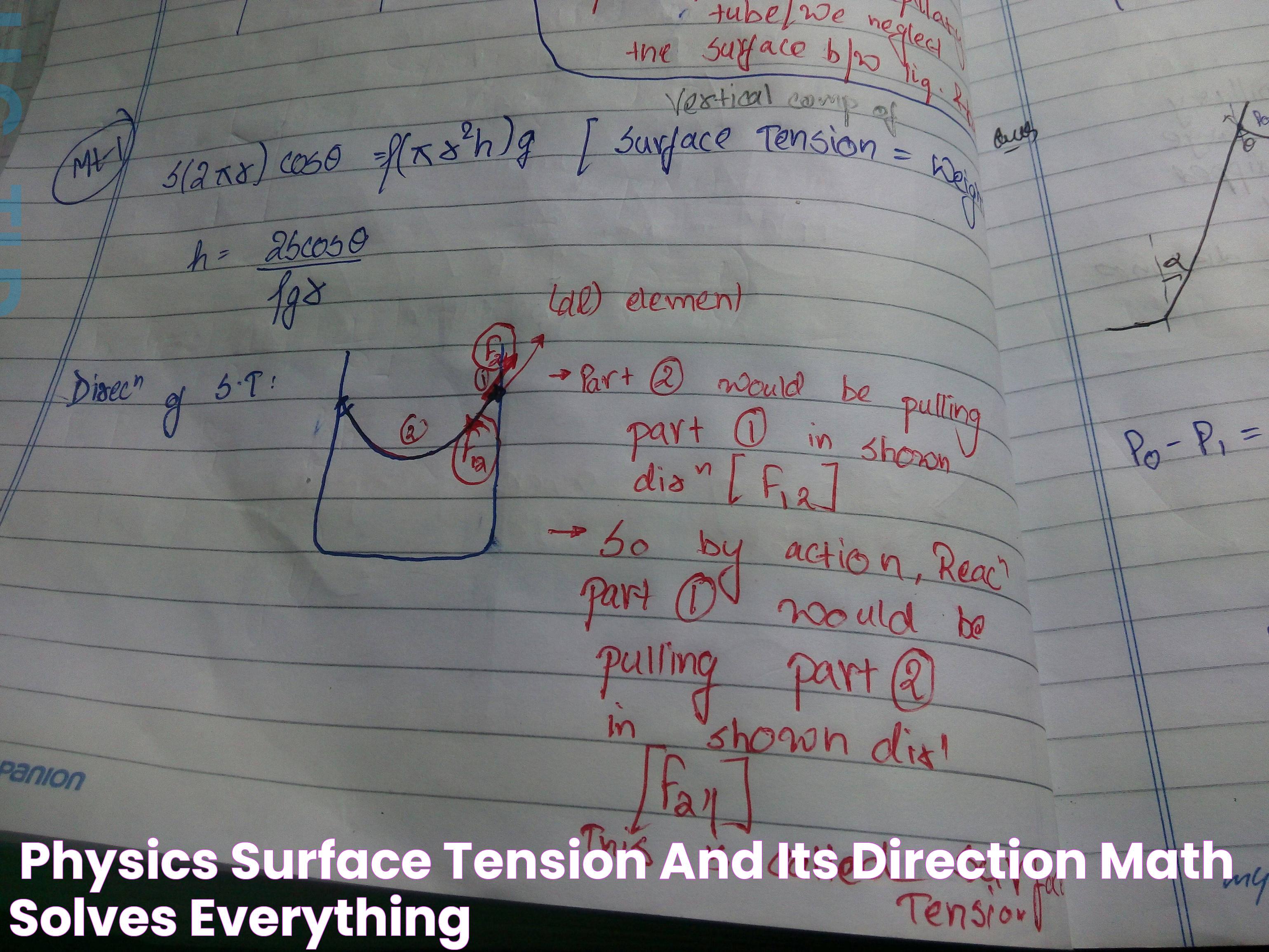 [Physics] Surface Tension and Its Direction Math Solves Everything