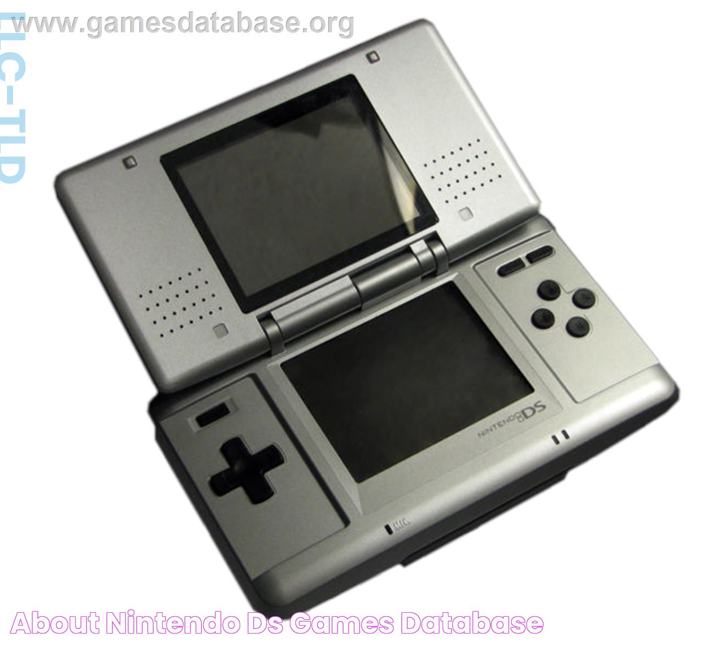 Delightful Gaming: The World Of Nintendo DS