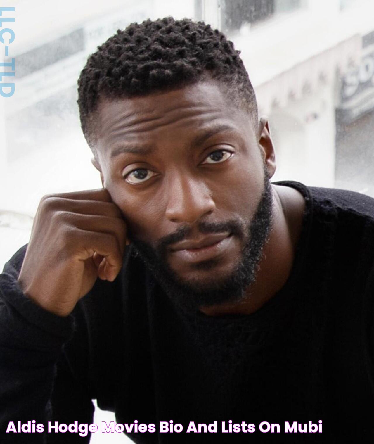 Meet The Woman Behind The Star: Aldis Hodge's Wife