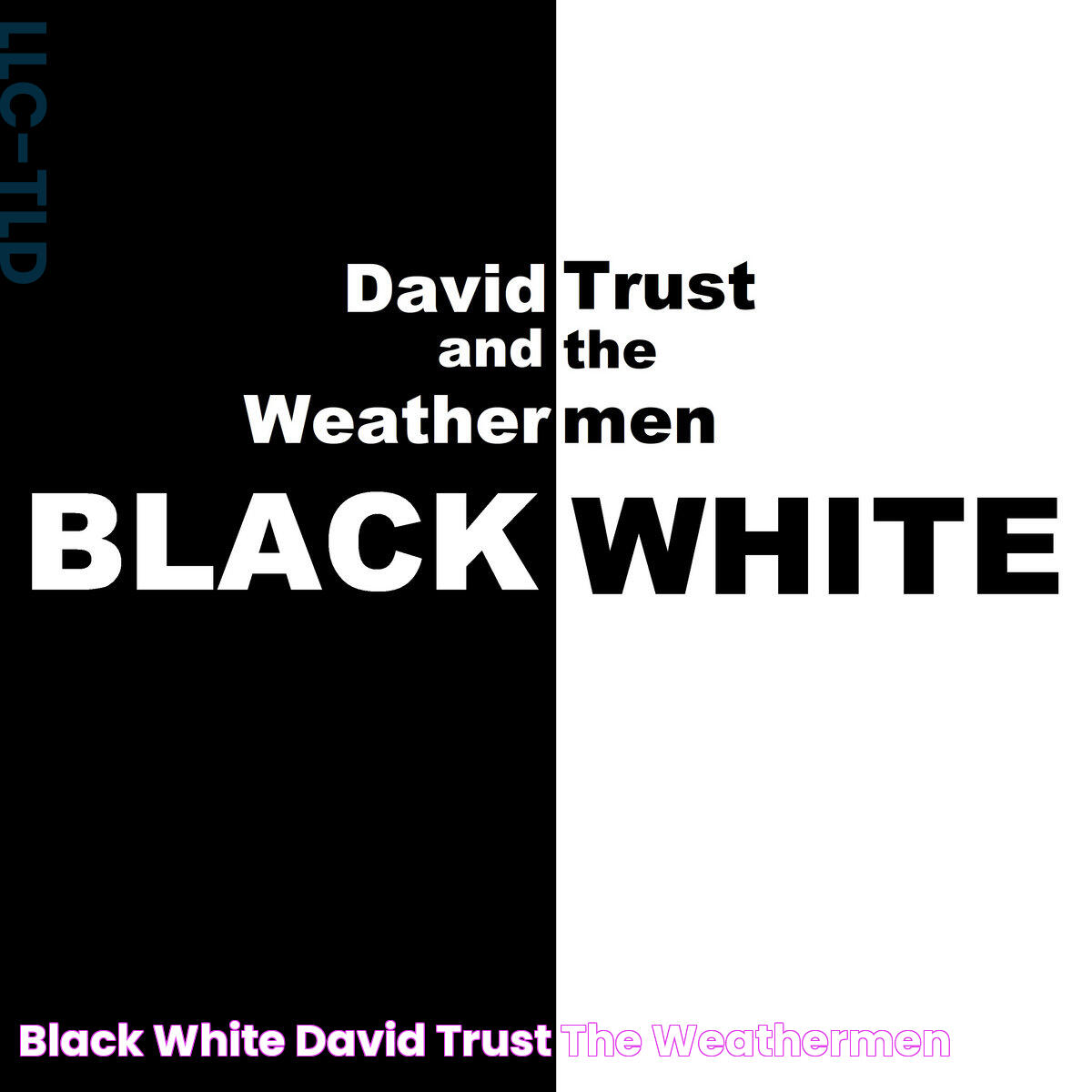 Black White David Trust & The Weathermen