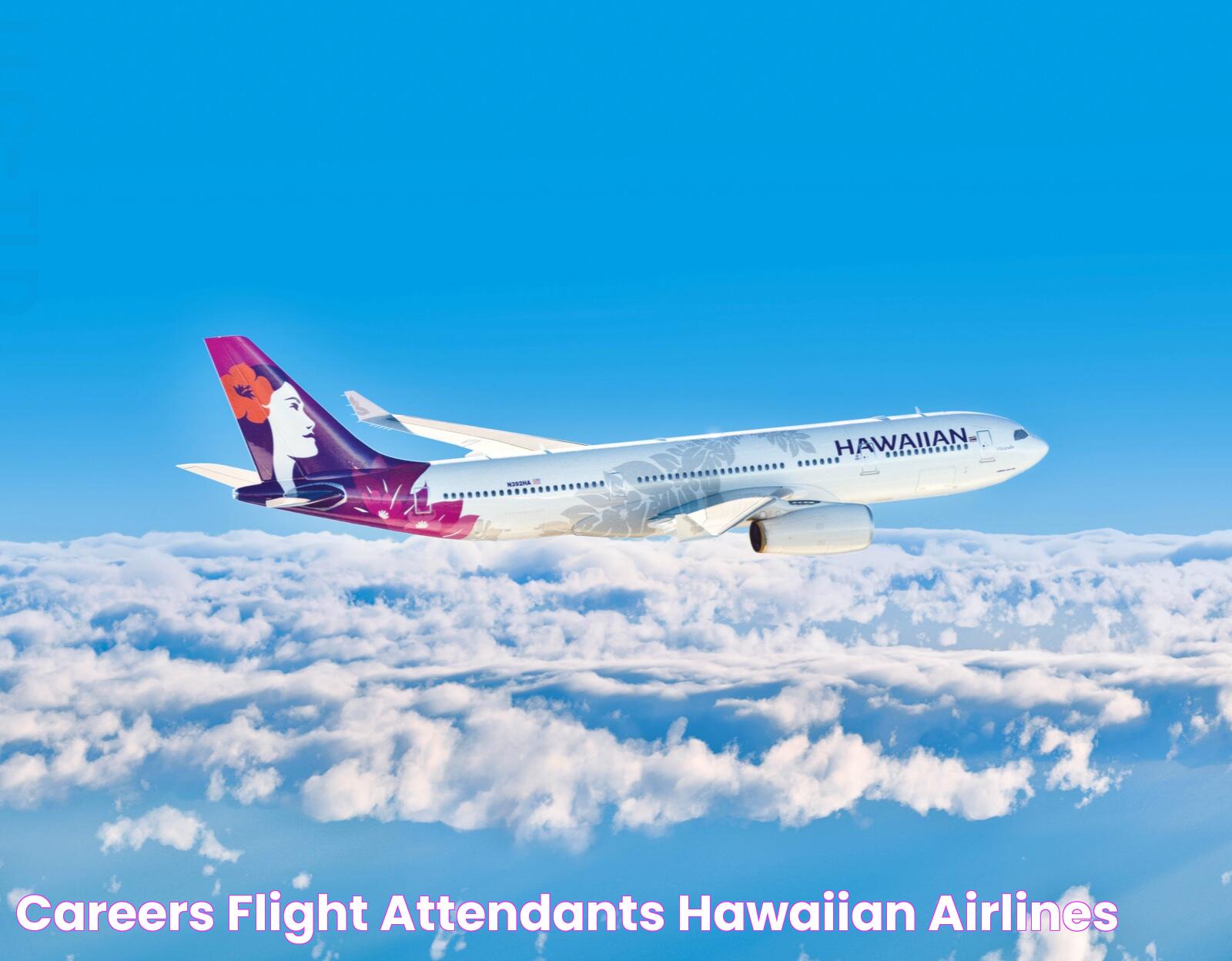 Careers Flight Attendants Hawaiian Airlines