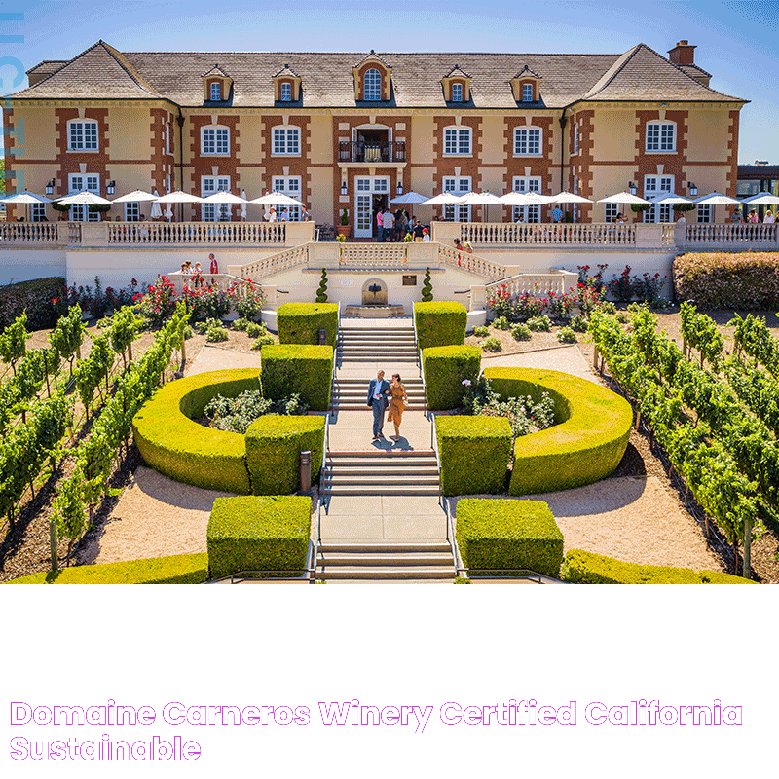 Enchanting Winery: Domaine Carneros Experience