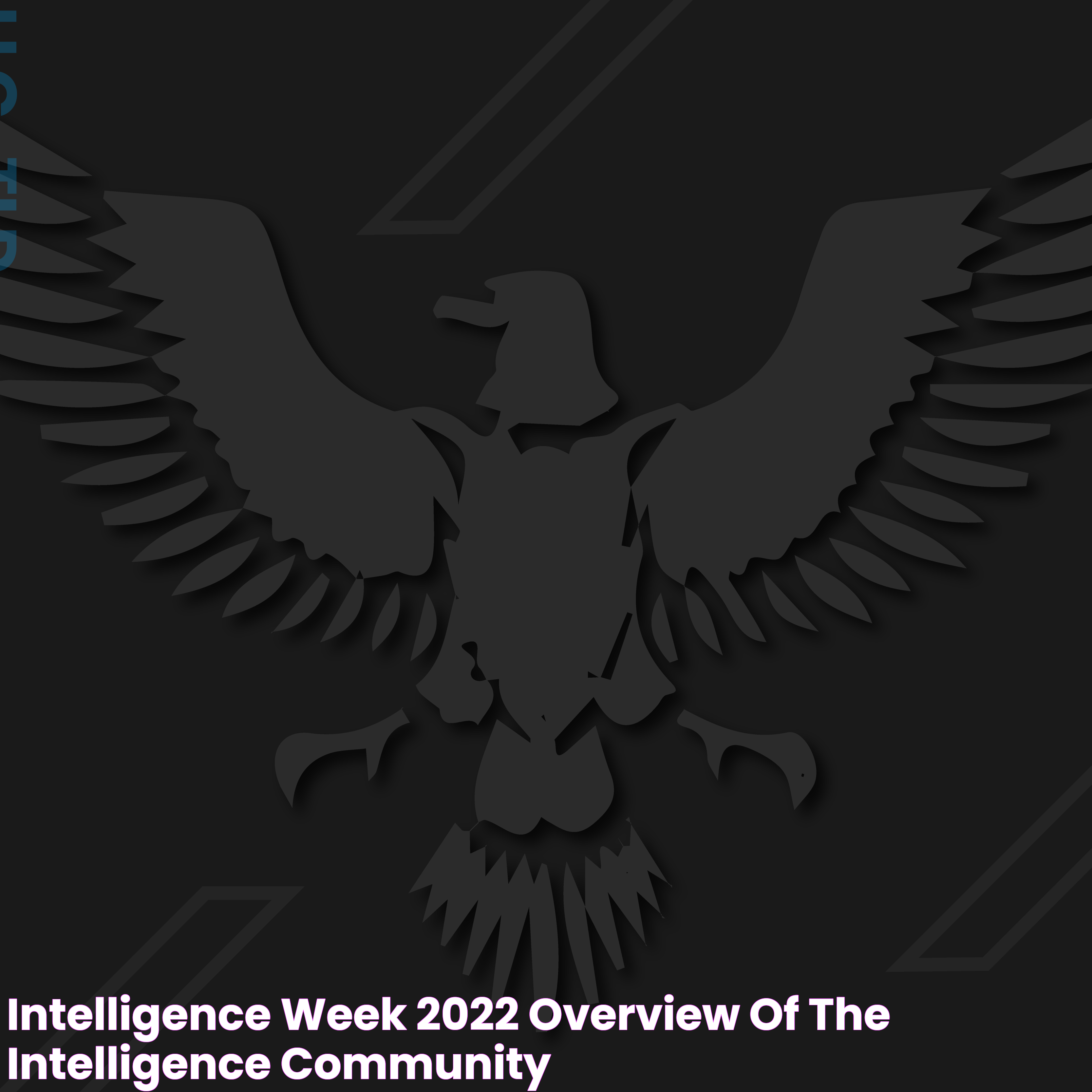 Insights Into The Intelligence Community: A Comprehensive Guide