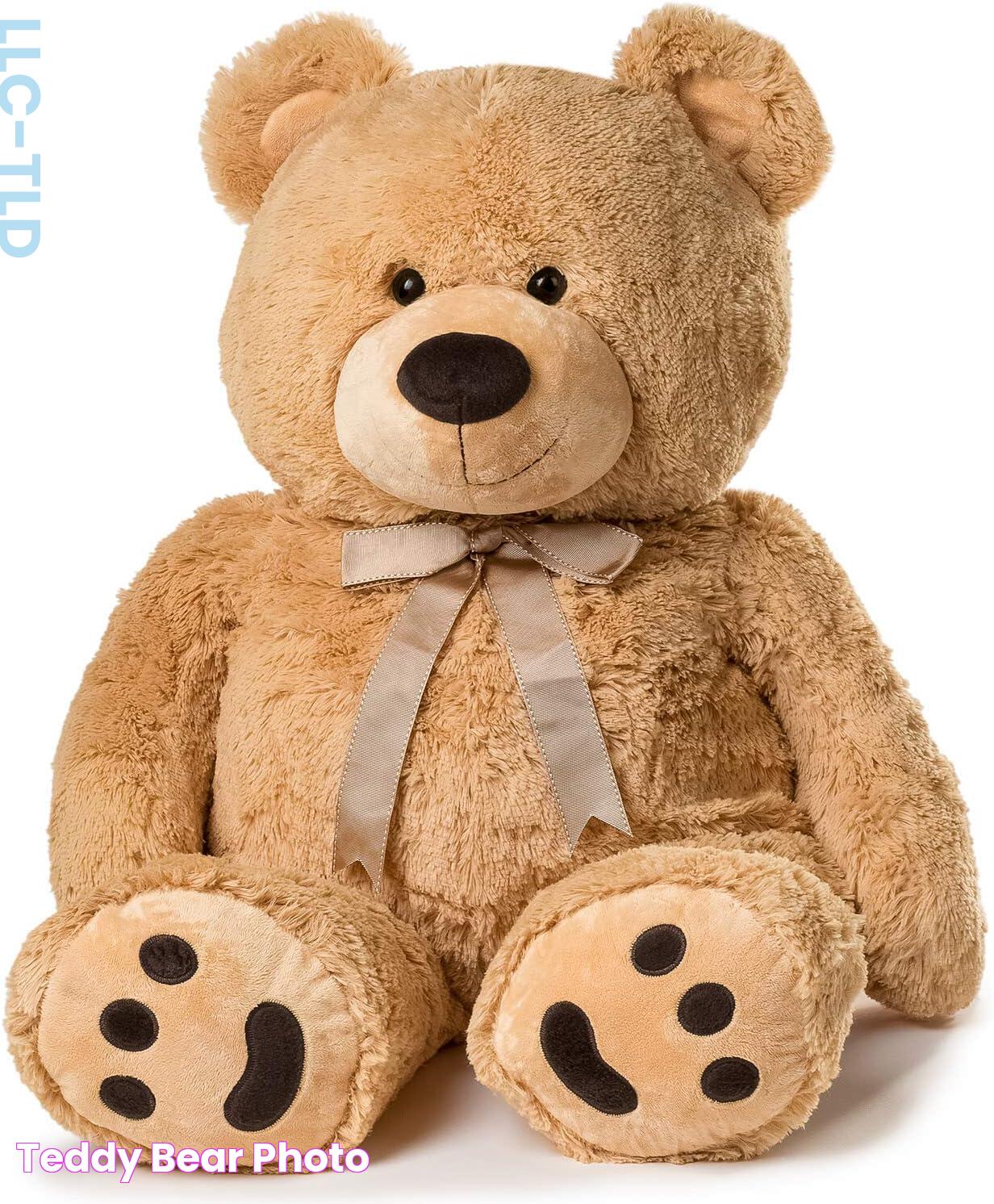 Teddy Bear Photo