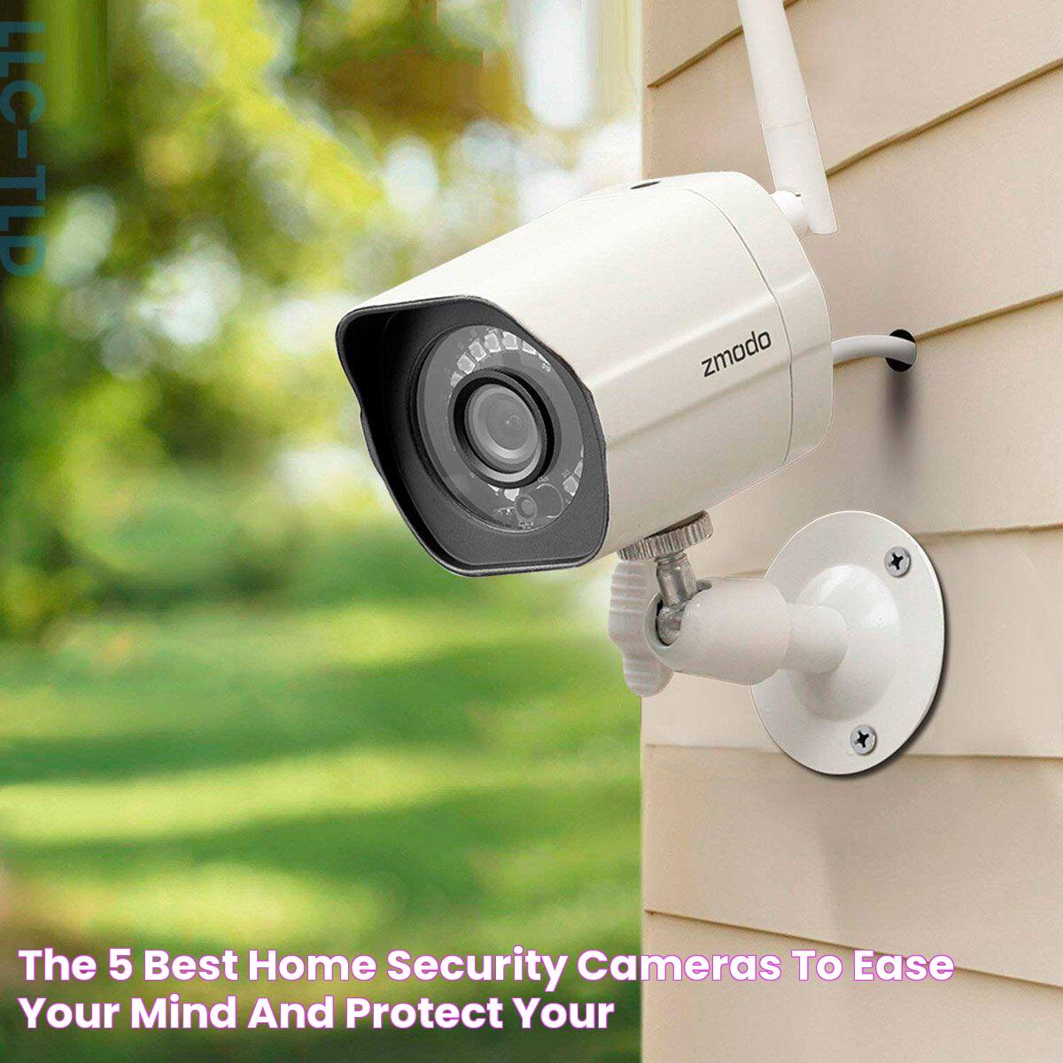 The 5 Best Home Security Cameras to Ease Your Mind and Protect Your