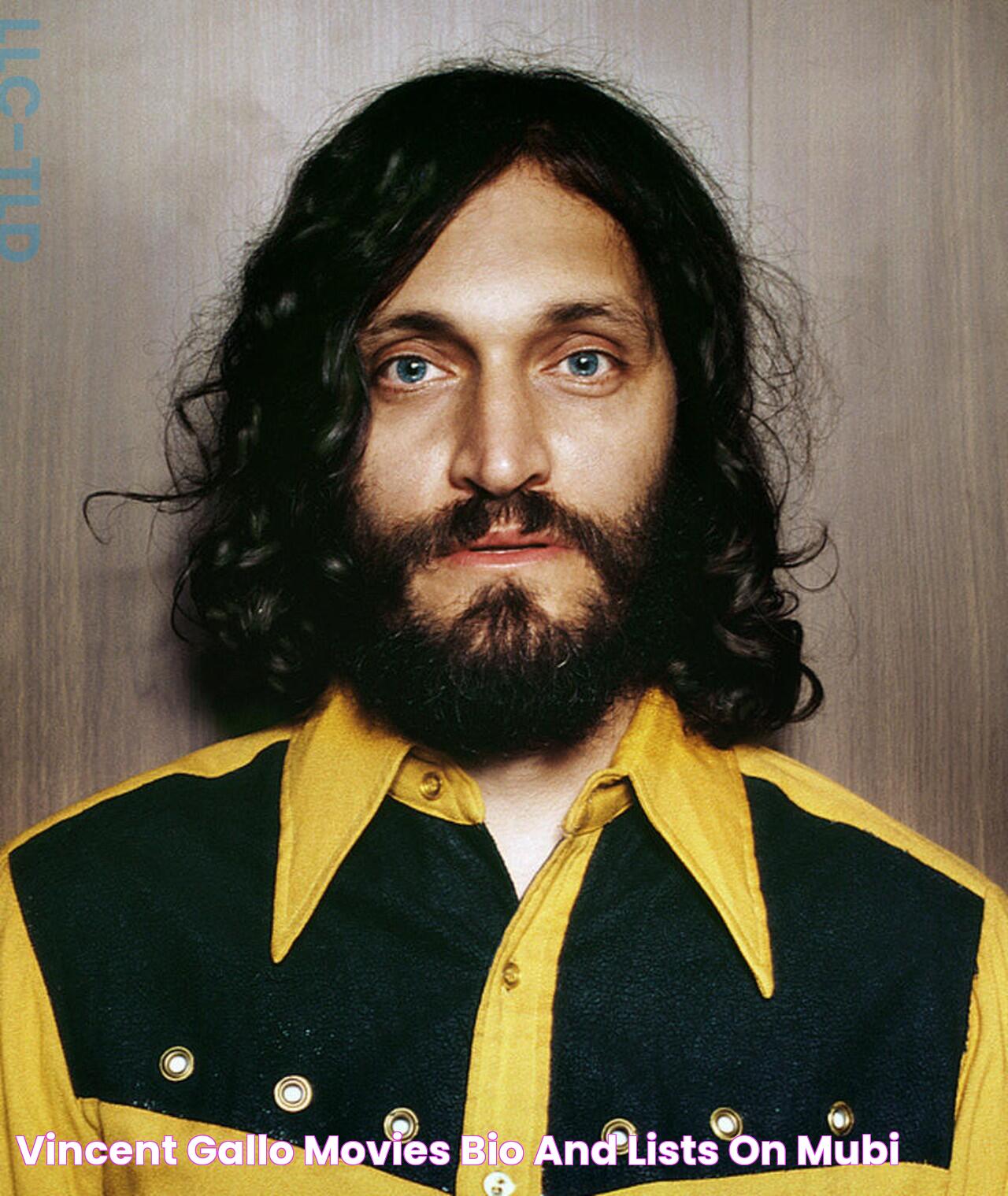 Vincent Gallo Movies, Bio and Lists on MUBI