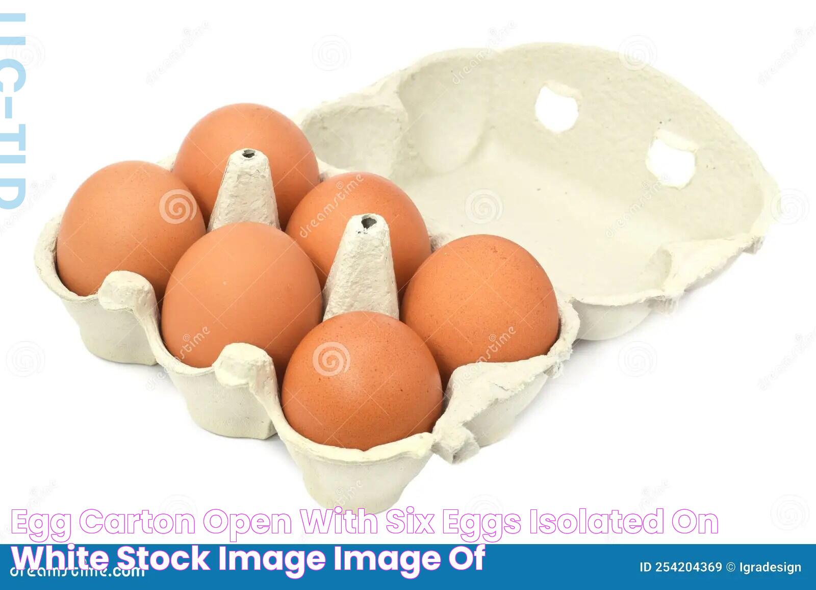 Egg Carton Open with Six Eggs Isolated on White Stock Image Image of