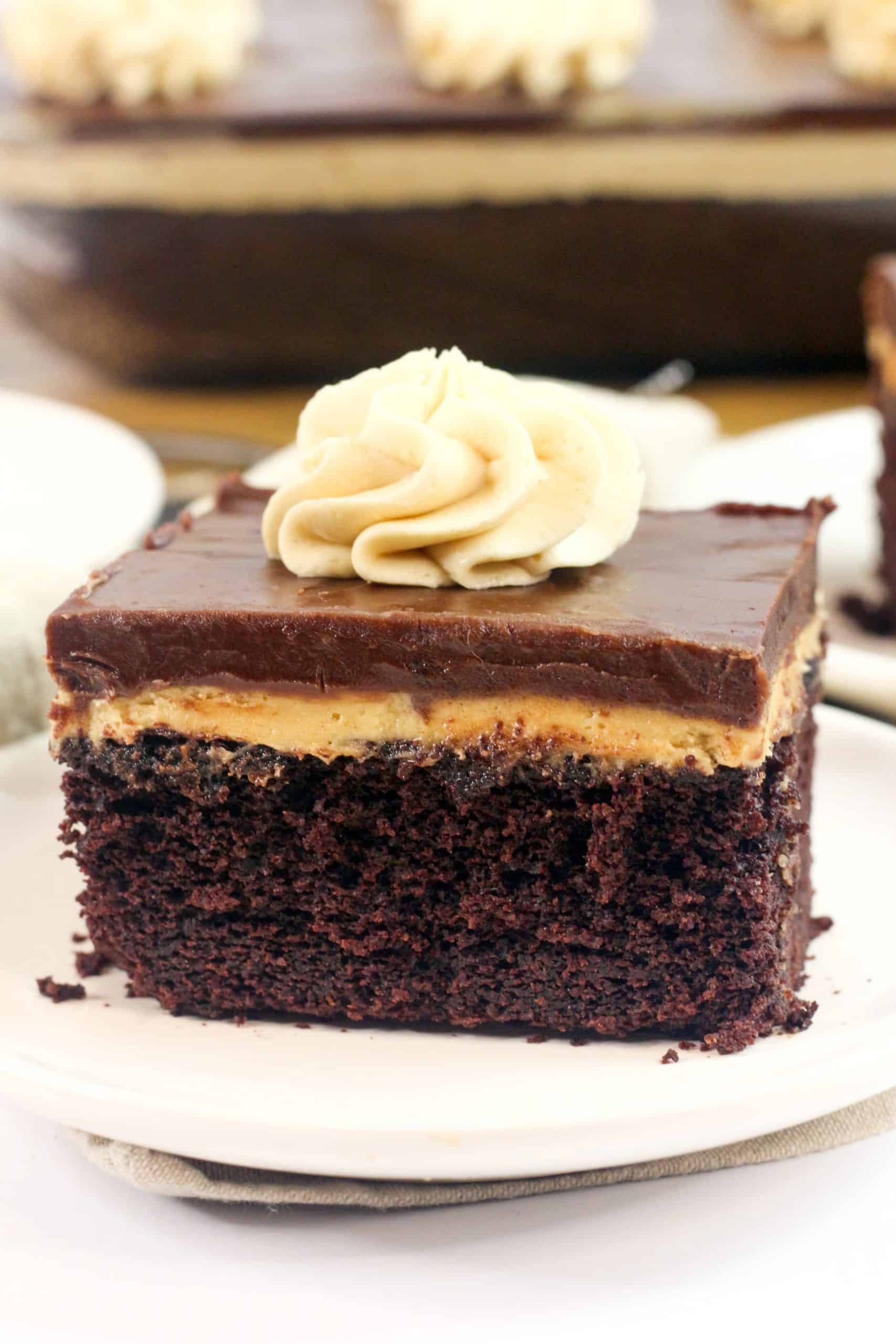 Texas Chocolate Peanut Butter Cake Recipe Sweet Pea's Kitchen