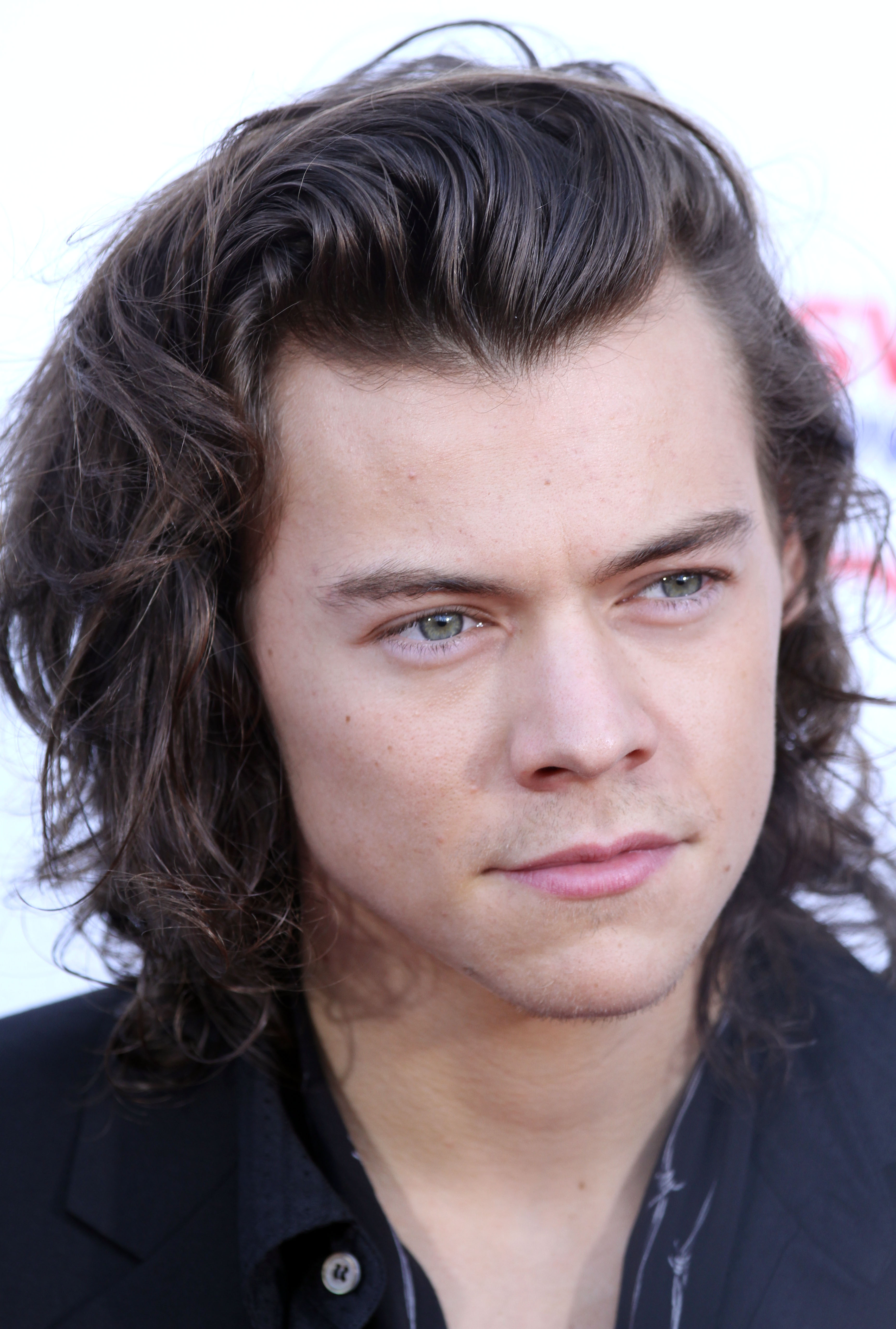 FileHarry Styles November 2014.jpg Wikimedia Commons