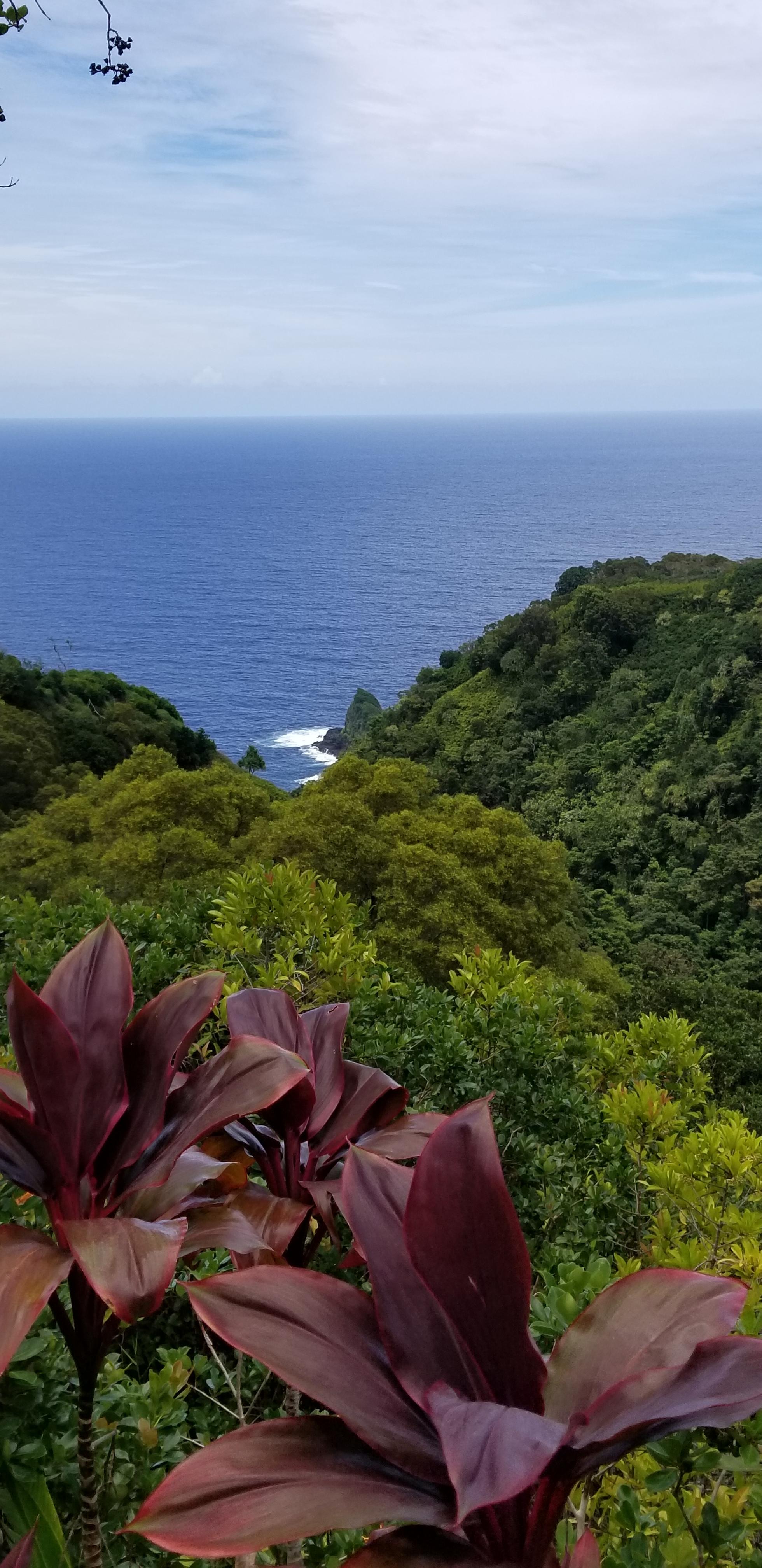 Keopuka Rock aka the Jurassic Park rock as seen from the Garden of Eden