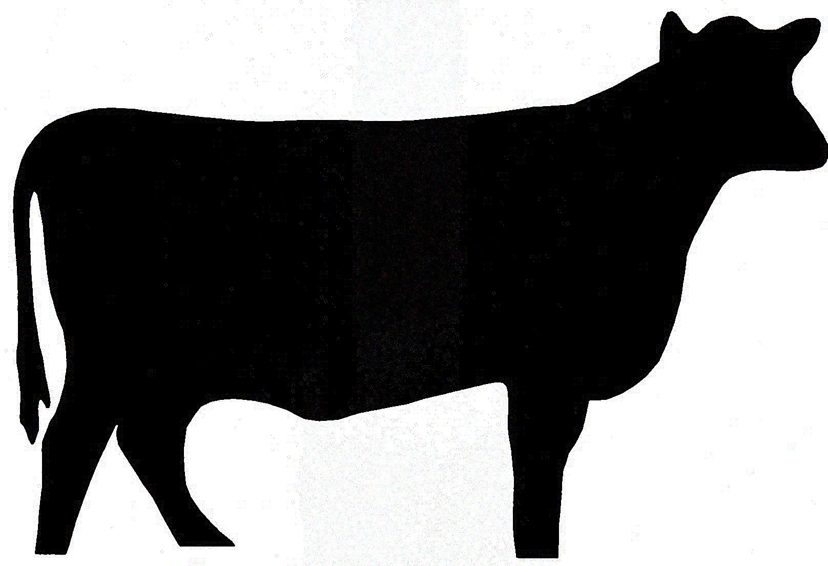 Black Angus: The Premium Breed Redefining Beef Excellence